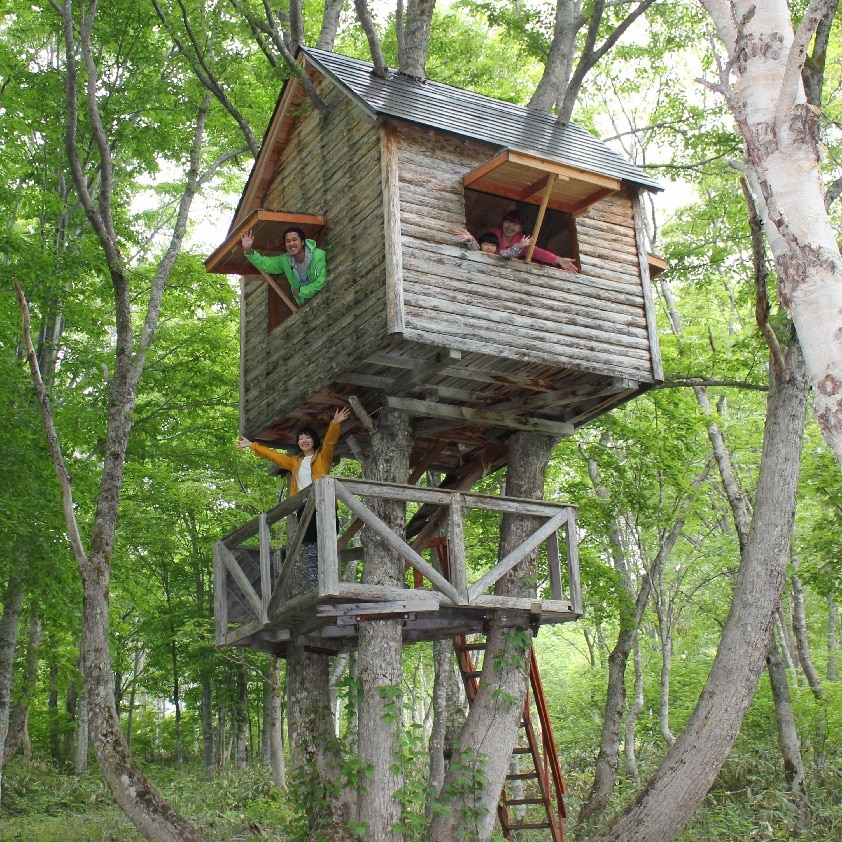 樹屋