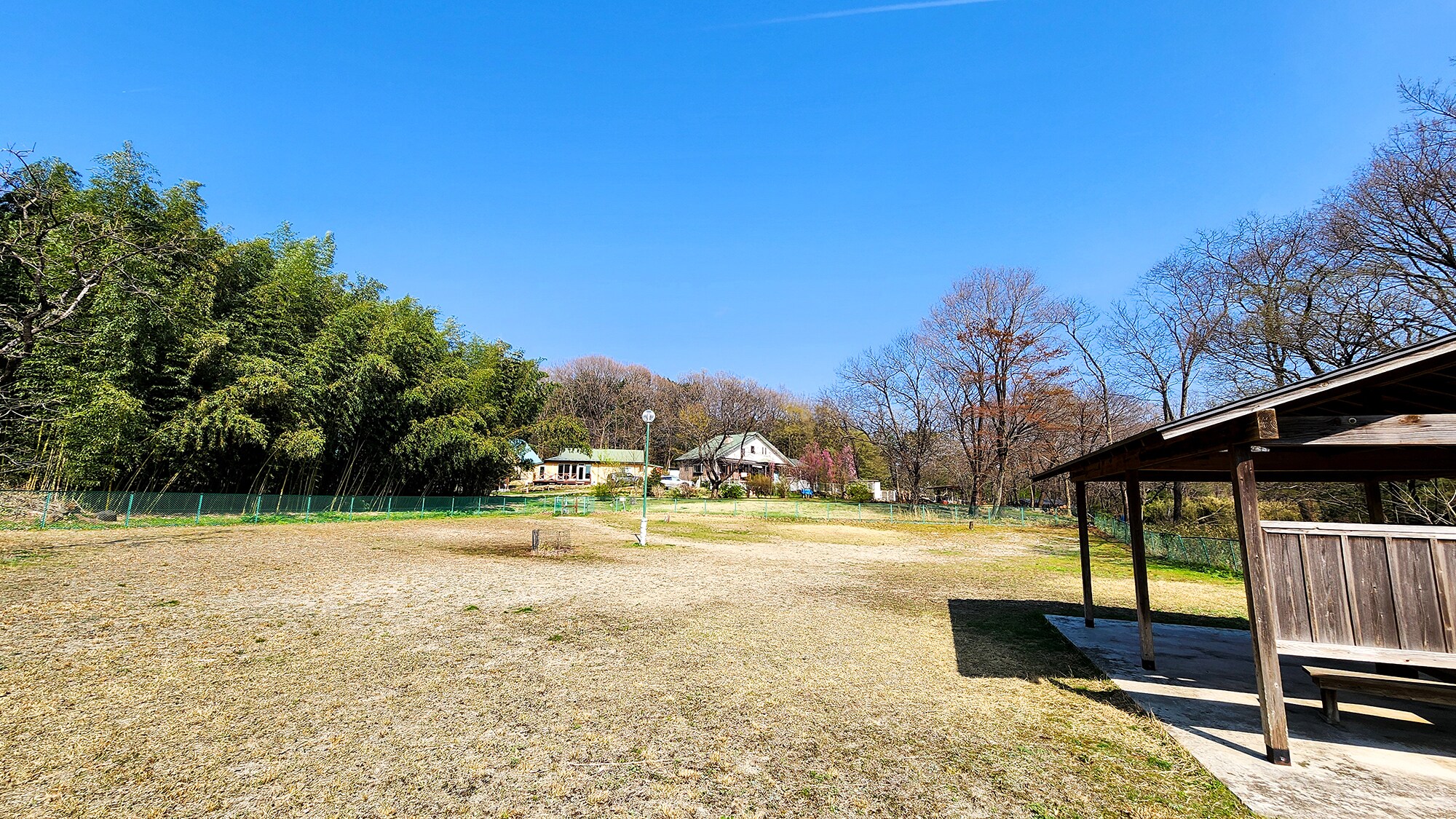 #Dog run