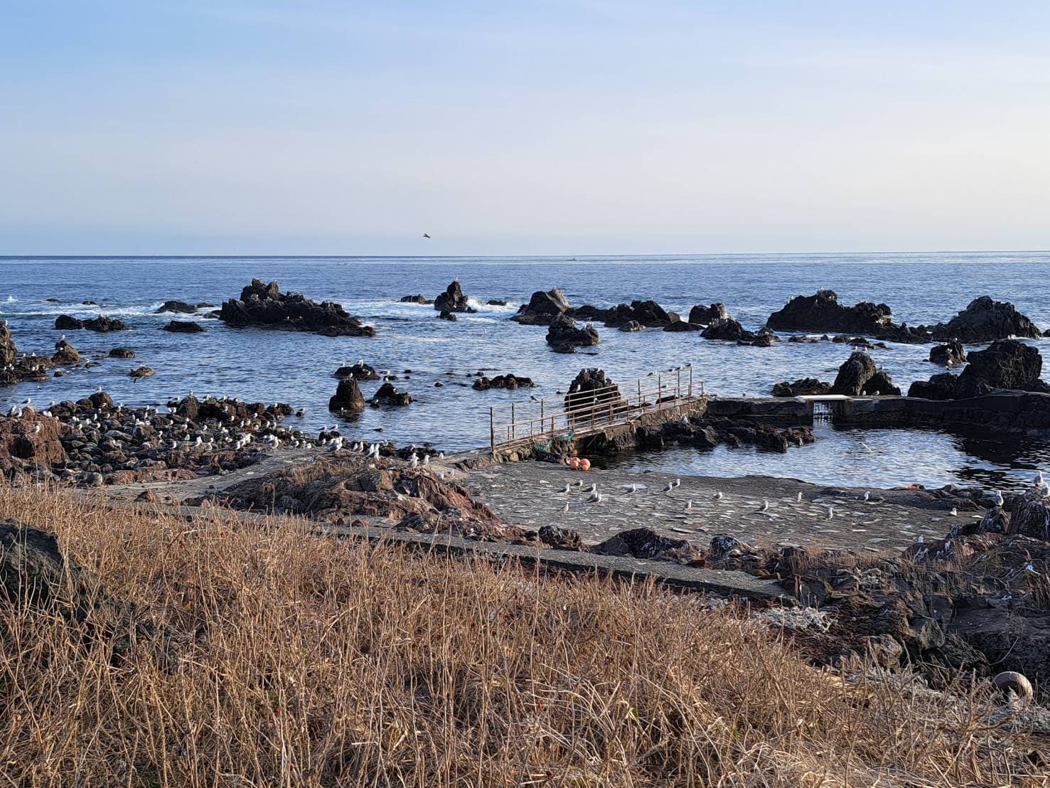 海岸
