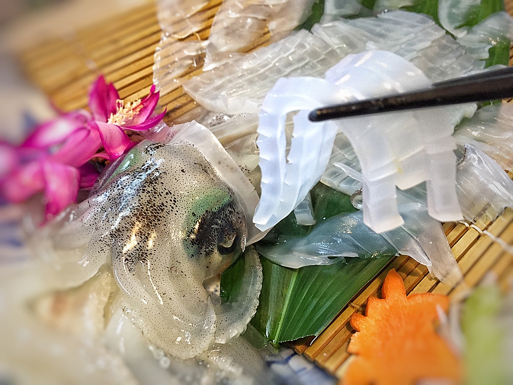 Live squid