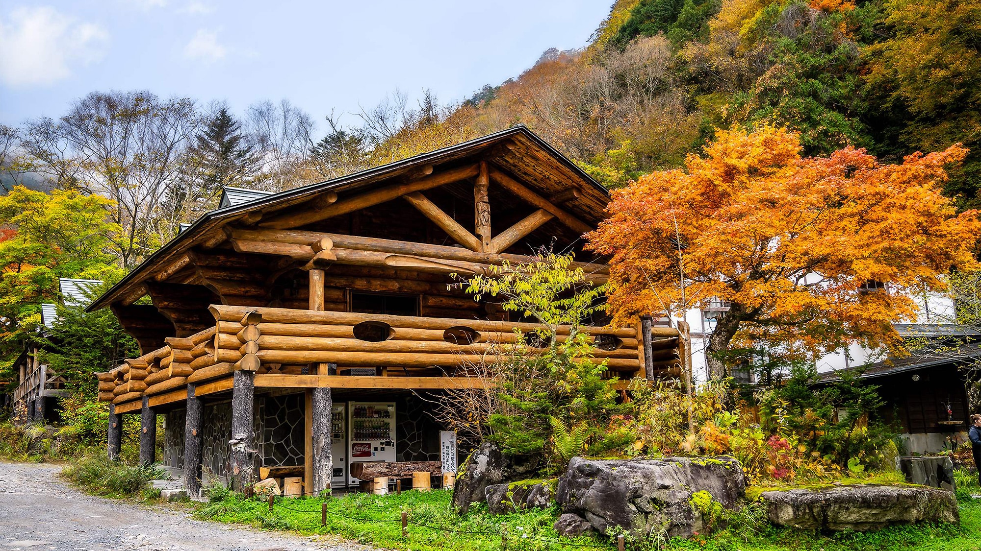 [Autumn] Appearance