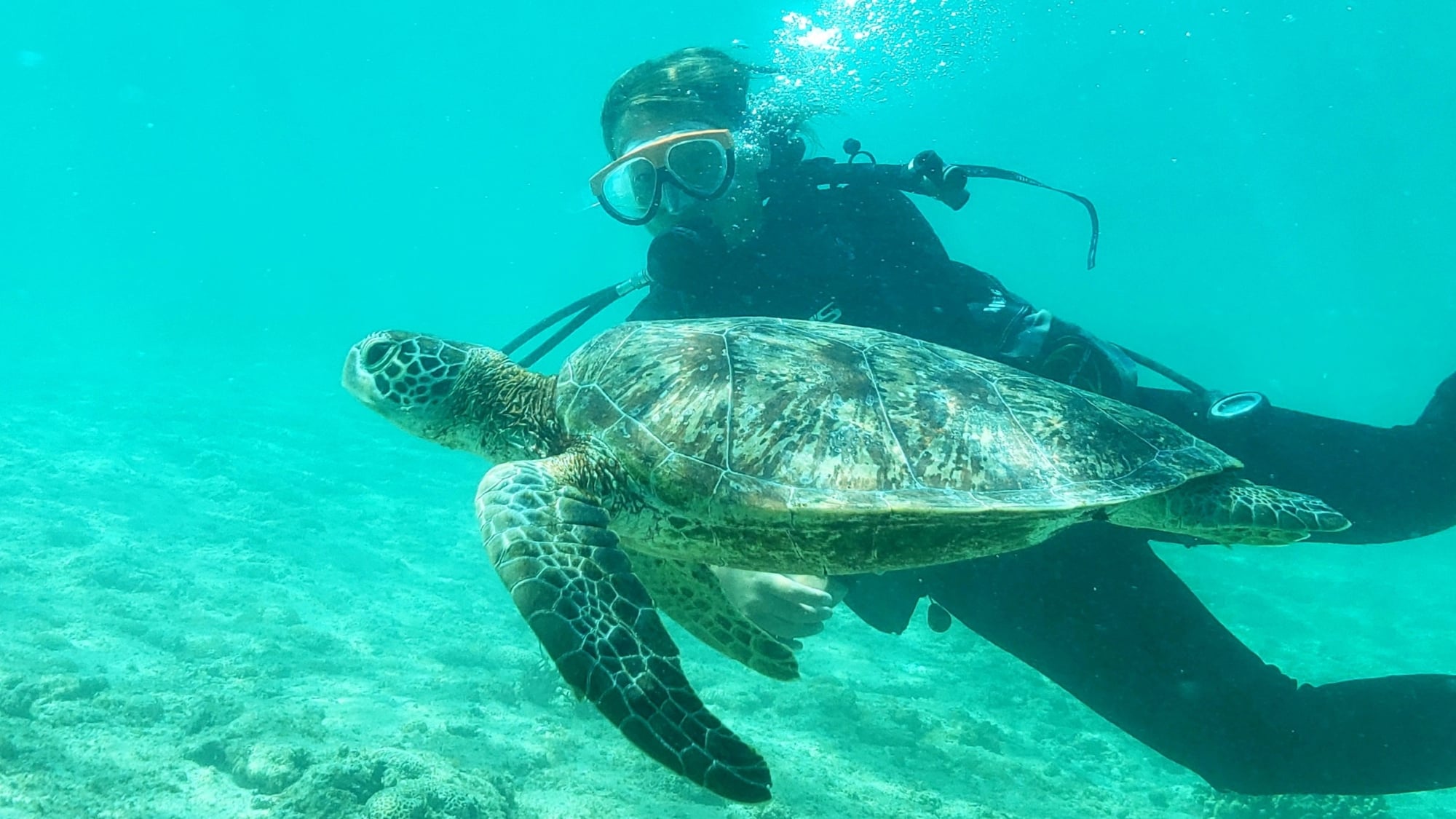 [A thrilling diving experience] Experience a mysterious world that will make you want to dive again and again.