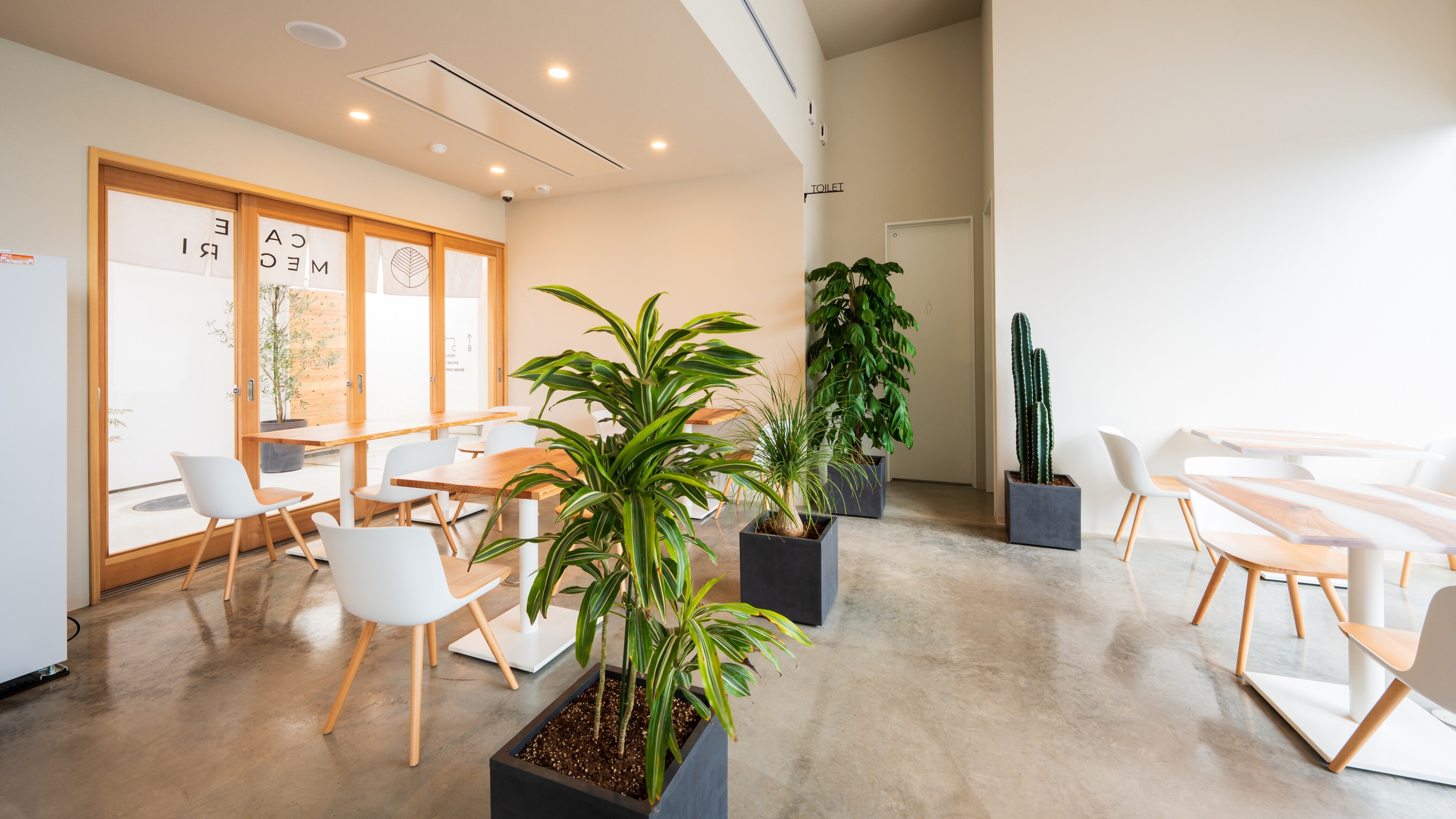 카페 공간에서는 일본식 디저트와 스낵을 제공합니다.