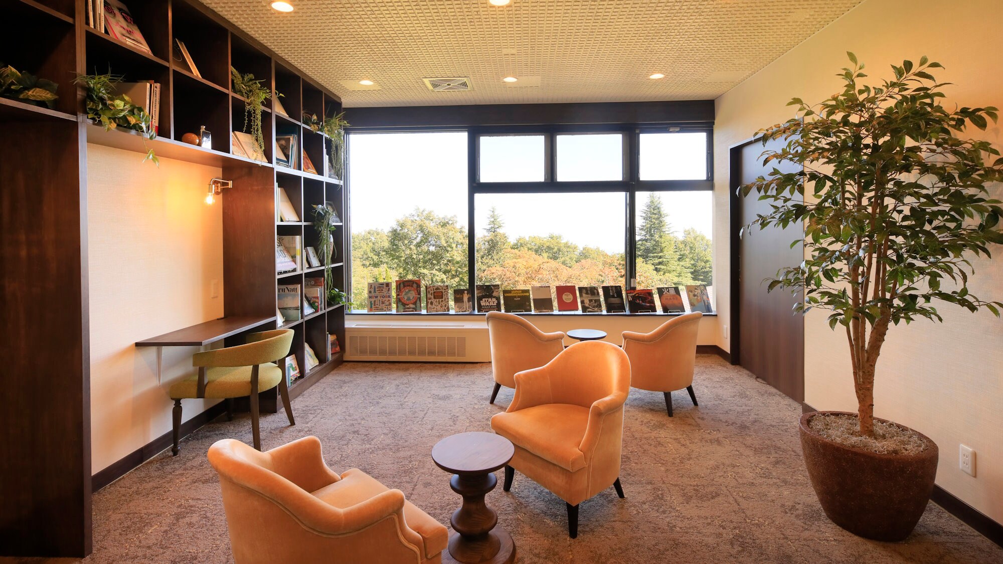 [圖書館] 超過200本書