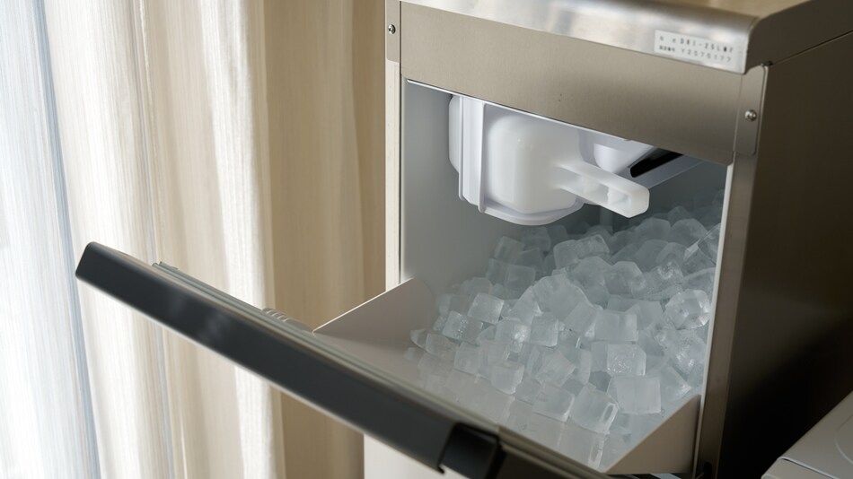 Ice maker