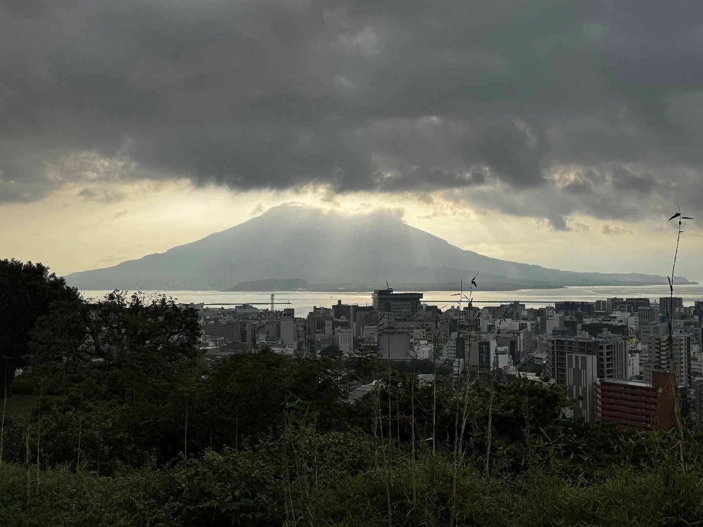 IMG_5126.jpeg