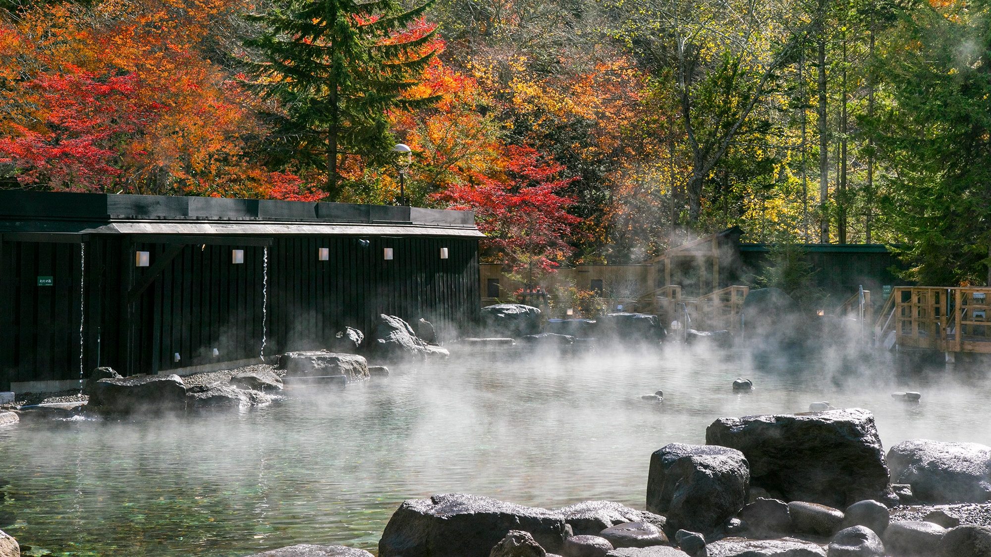 [Large open-air bath HOSHI★ZORA] The gracefully colored autumn leaves spread out beyond the steam.