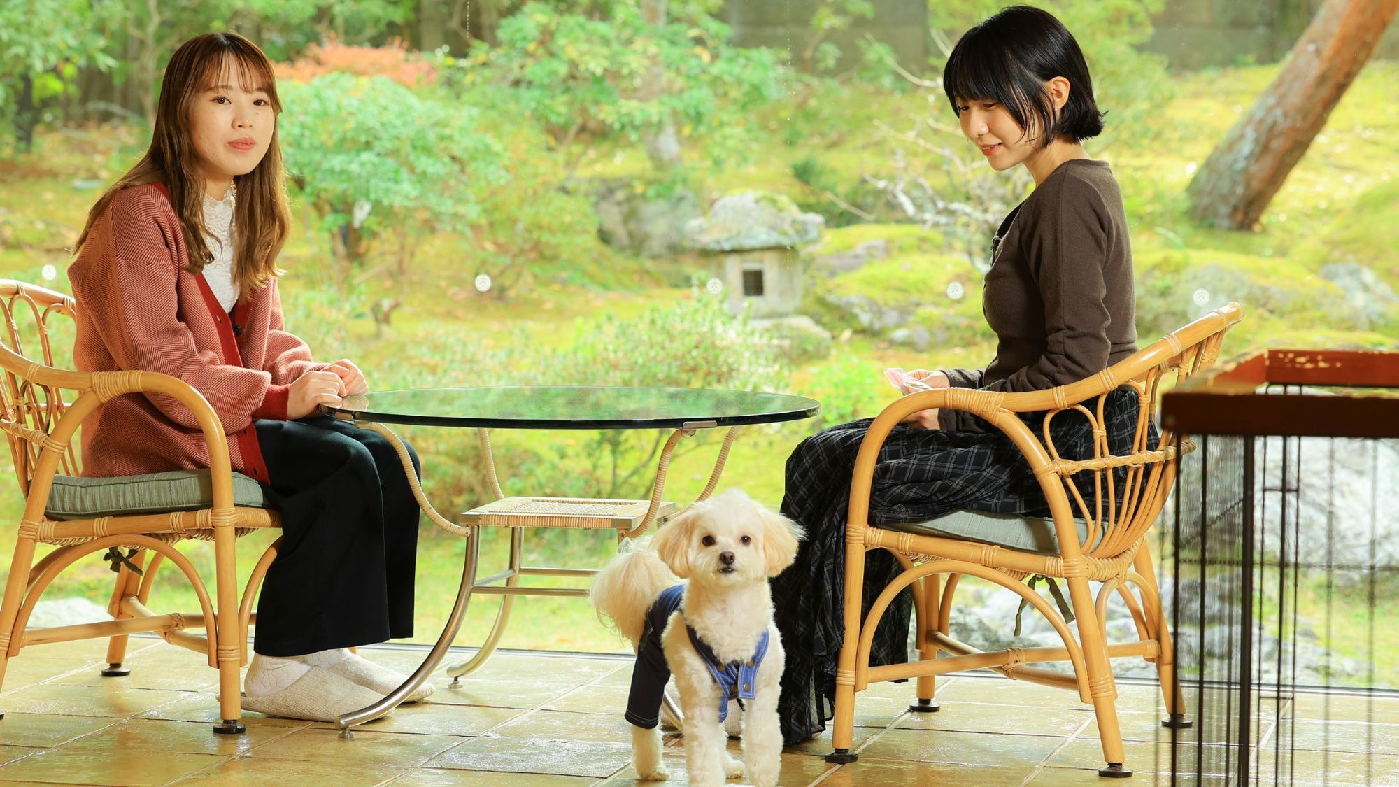 Paket akomodasi untuk menginap bersama anjing Anda (termasuk kursus "Camellia")