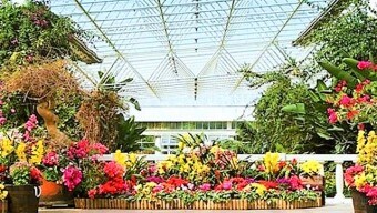 鹿儿岛花卉公园