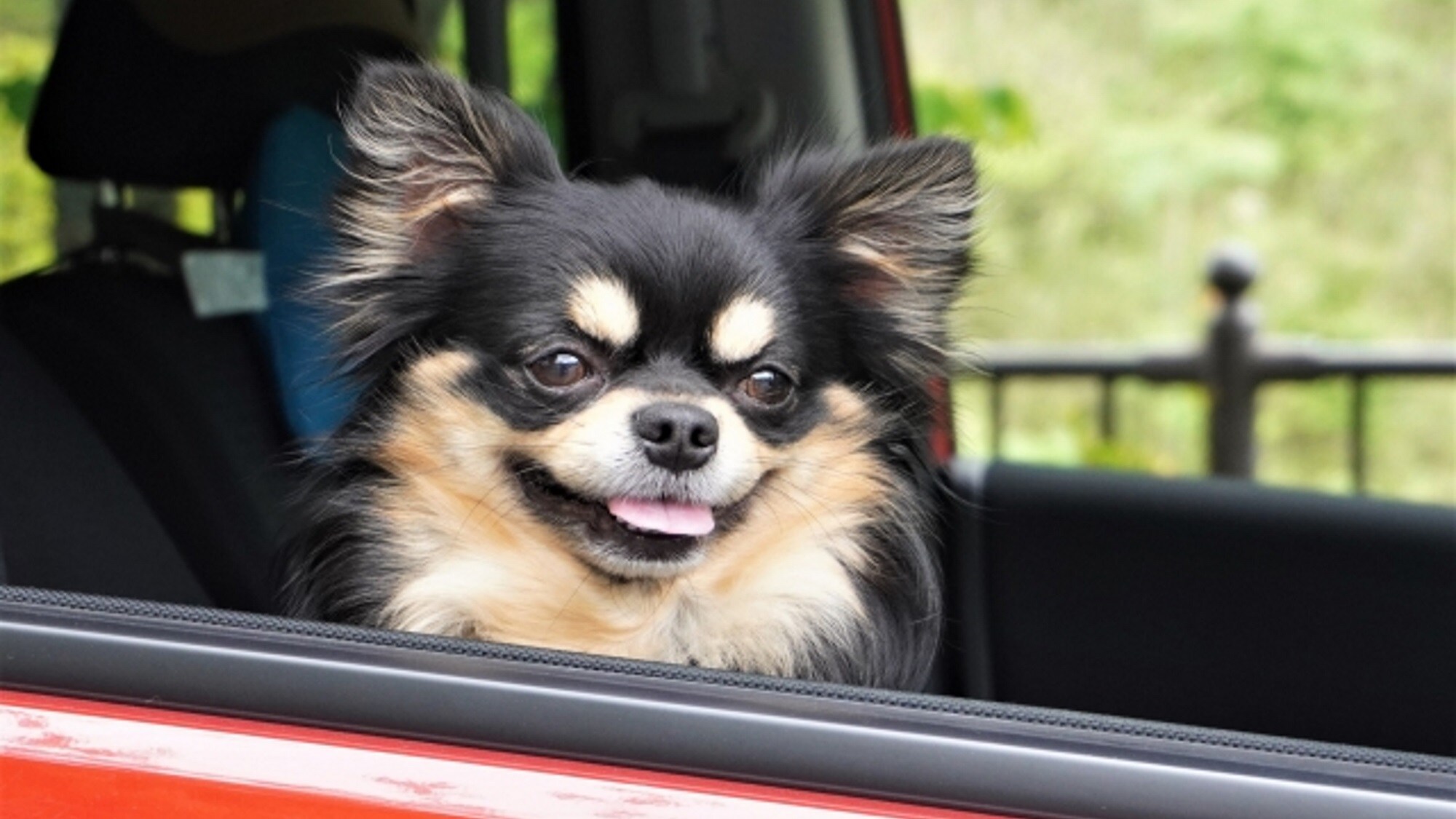 [ยินดีต้อนรับสัตว์เลี้ยง] พักผ่อนกับสุนัขของคุณ ซึ่งเป็น  สมาชิกในครอบครัว!