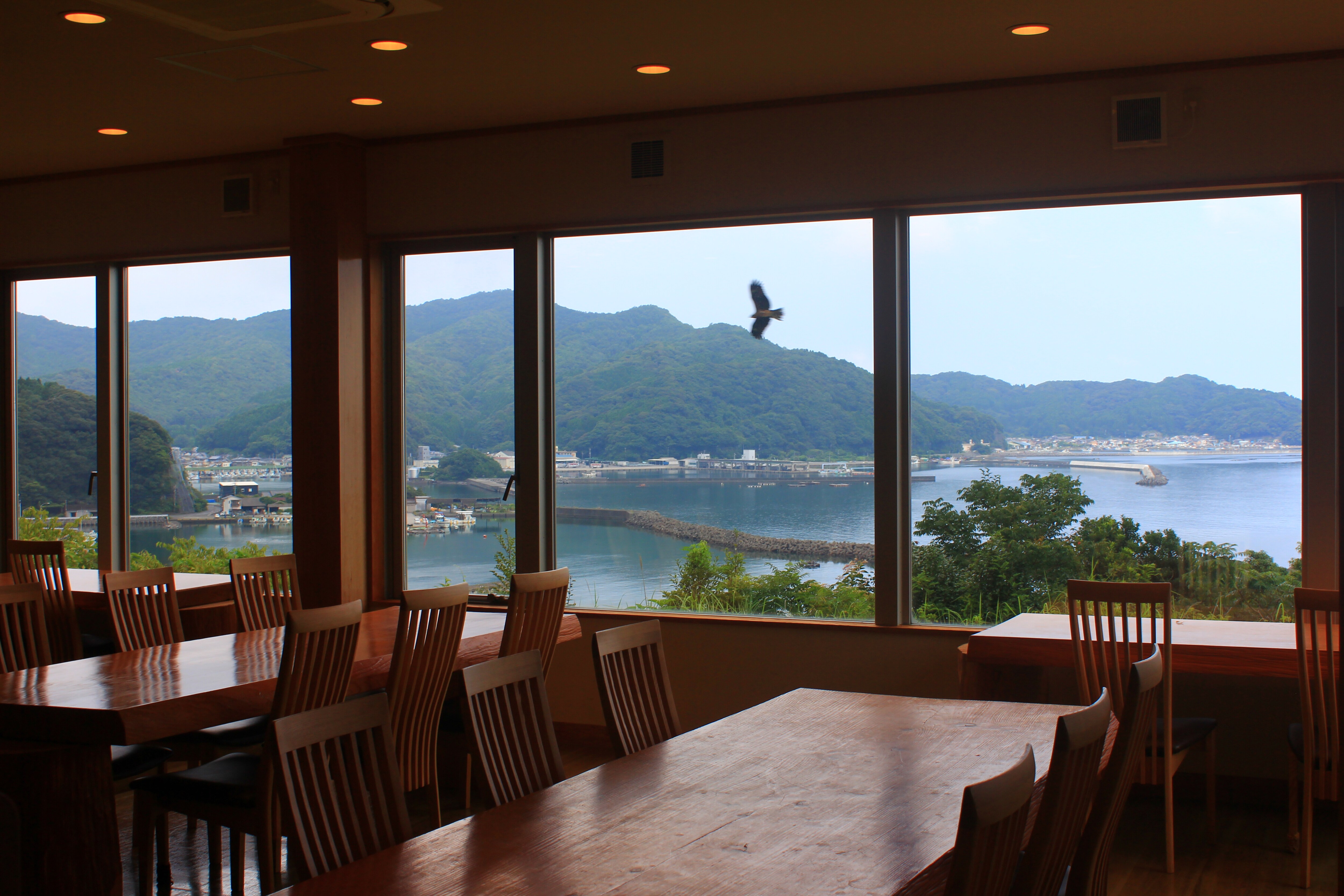 view from the restaurant