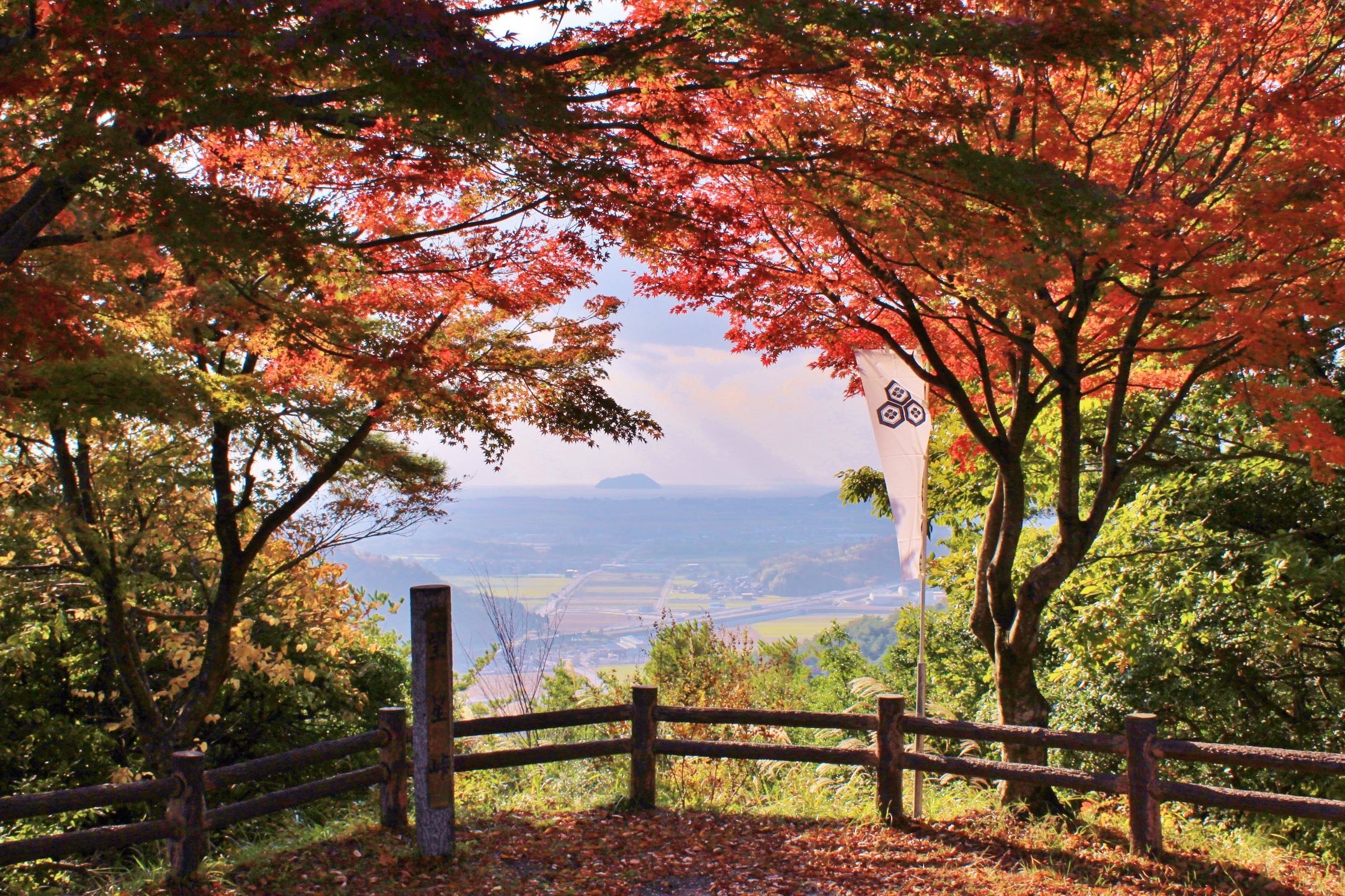 Autumn leaves at Odani Castle
