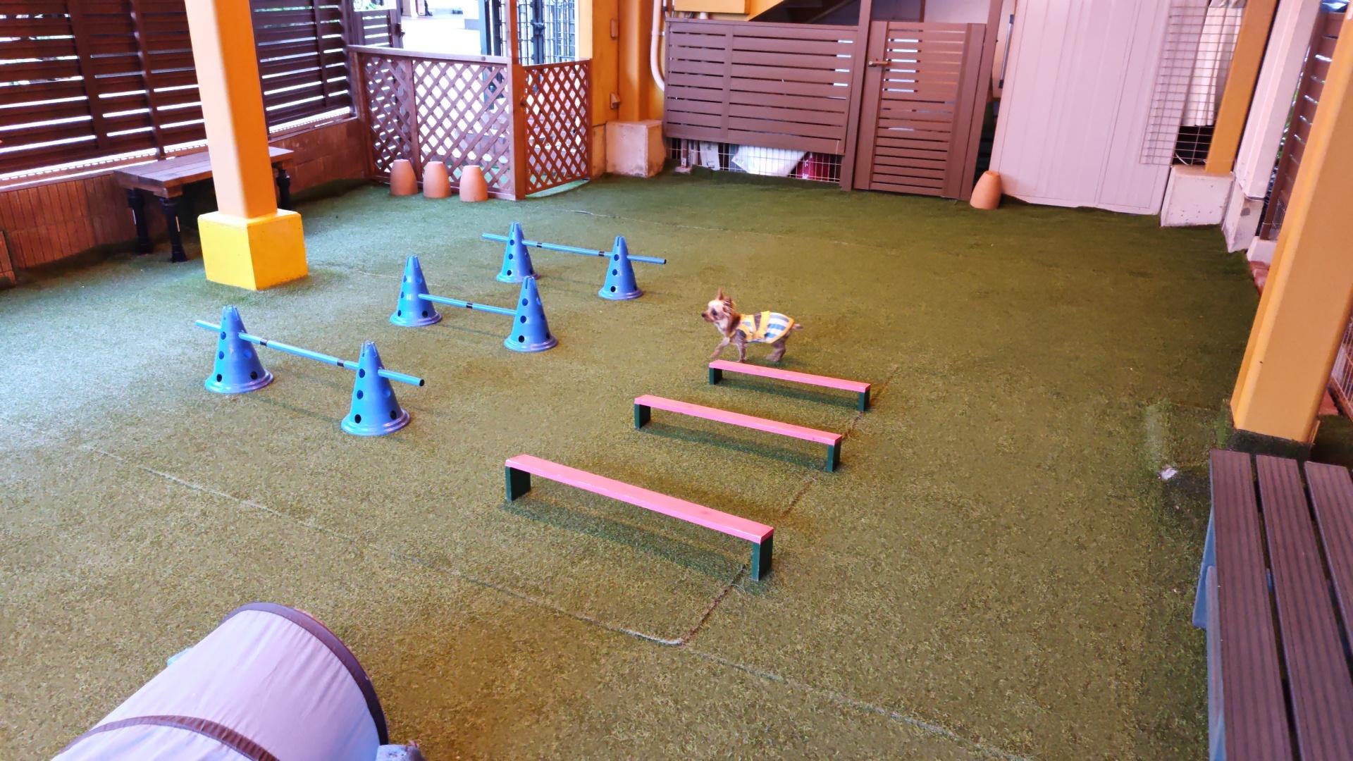 94157.jpg