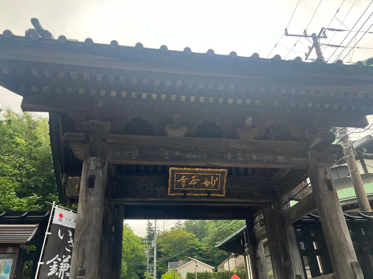 IMG_0912.jpeg
