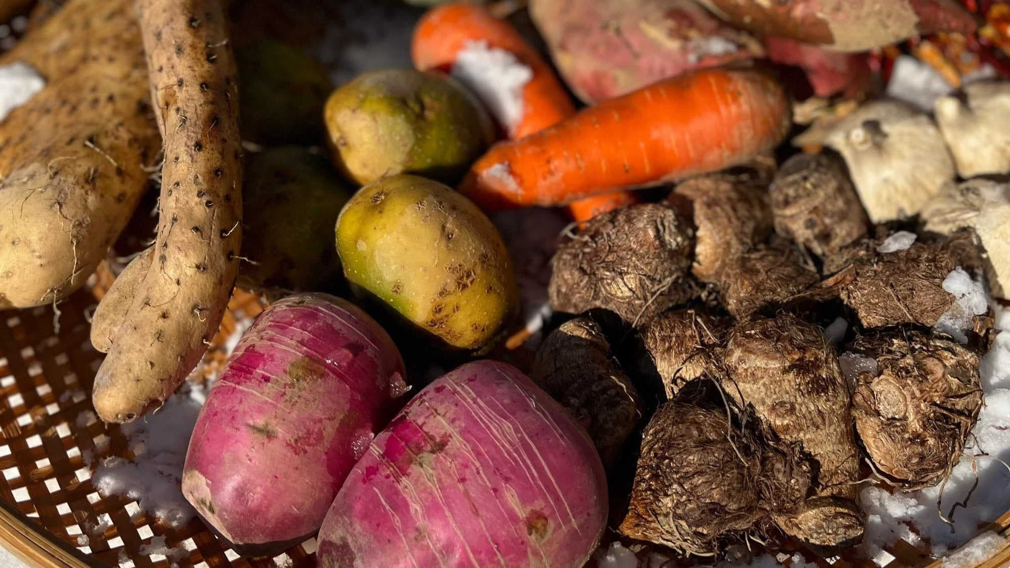 Kami menggunakan sayuran buatan sendiri yang kami banggakan untuk makanan kami.