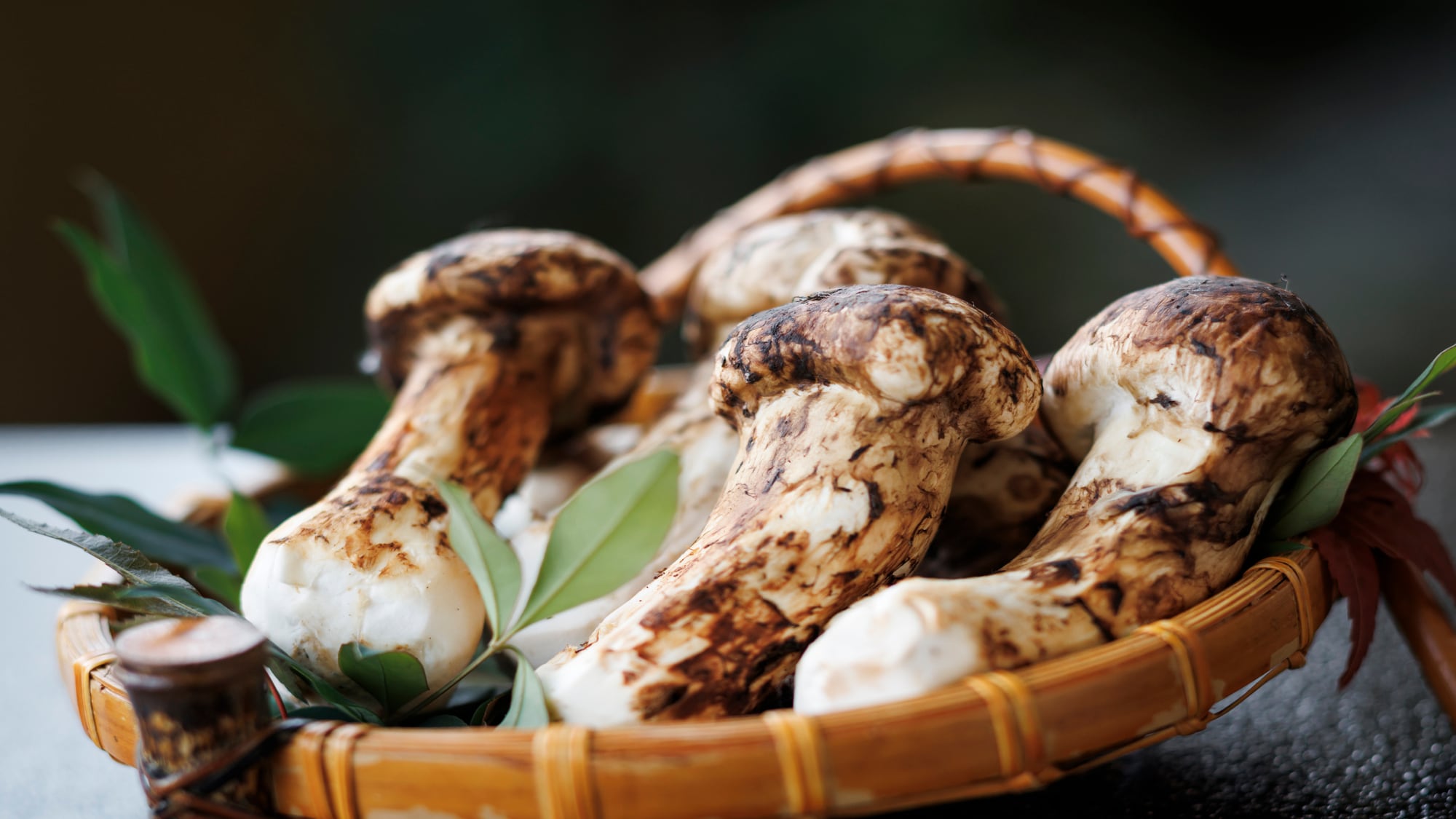 Nấm Matsutake