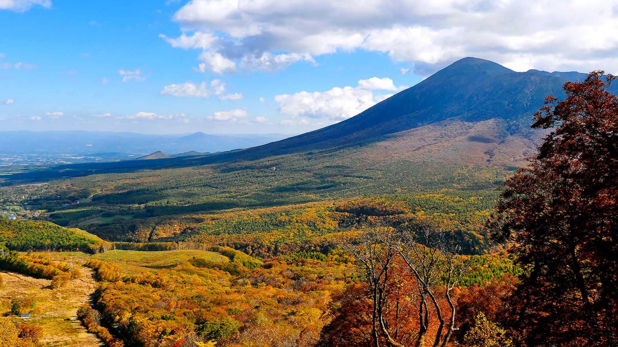 [Surrounding Area/Hachimantai] Autumn on Mt. Iwate, from the Jukai Line and near Shimokura Ski Resort