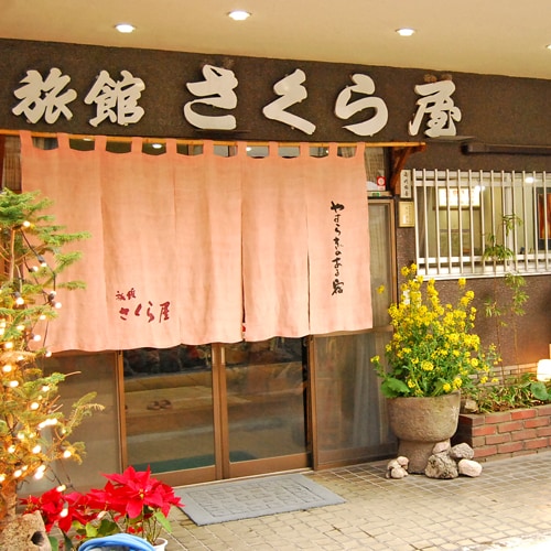 外观图