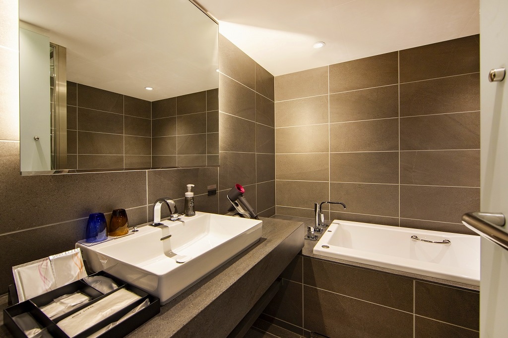 Bathroom (deluxe twin)