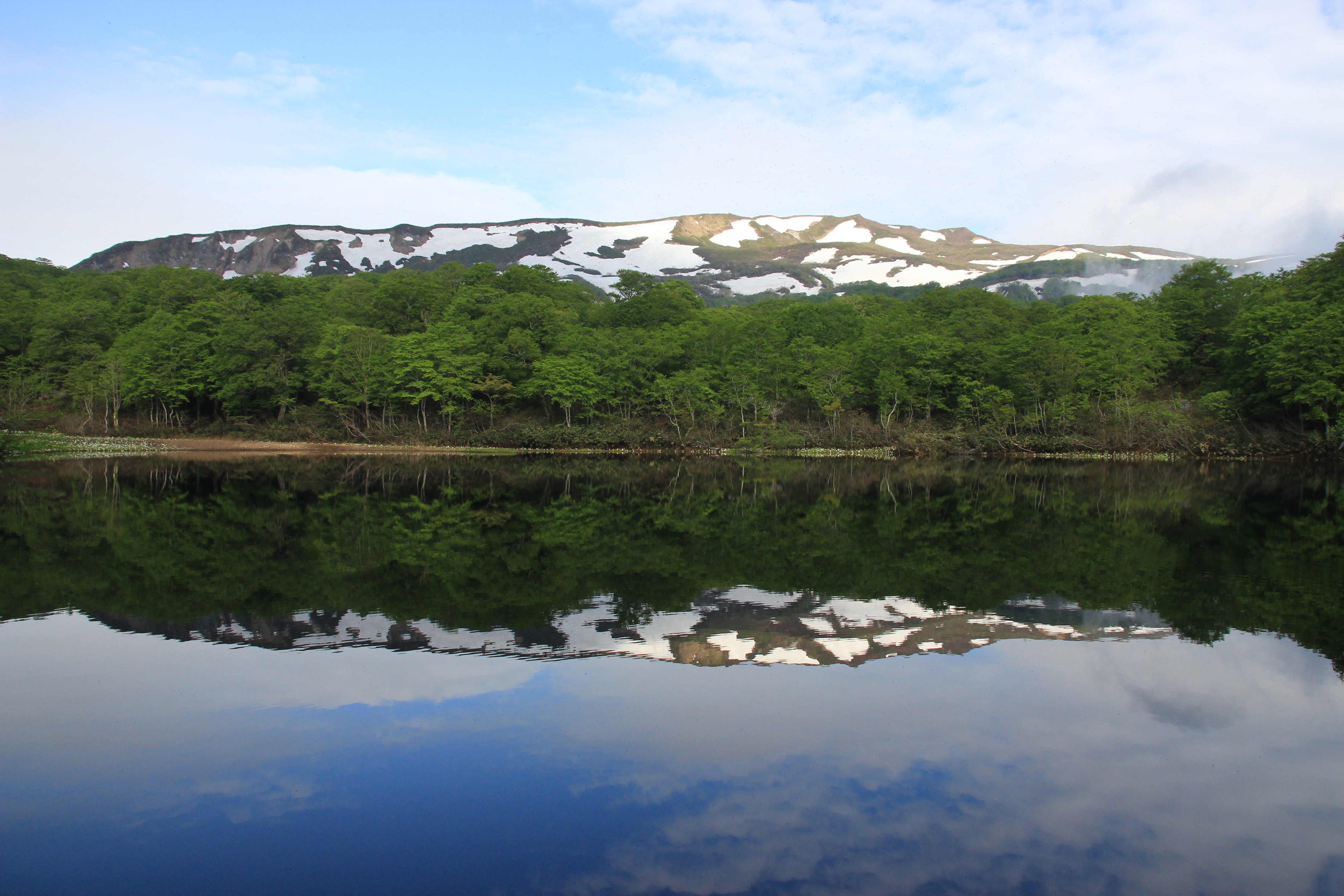 [Nearby sightseeing] "Yakeishidake, early summer"