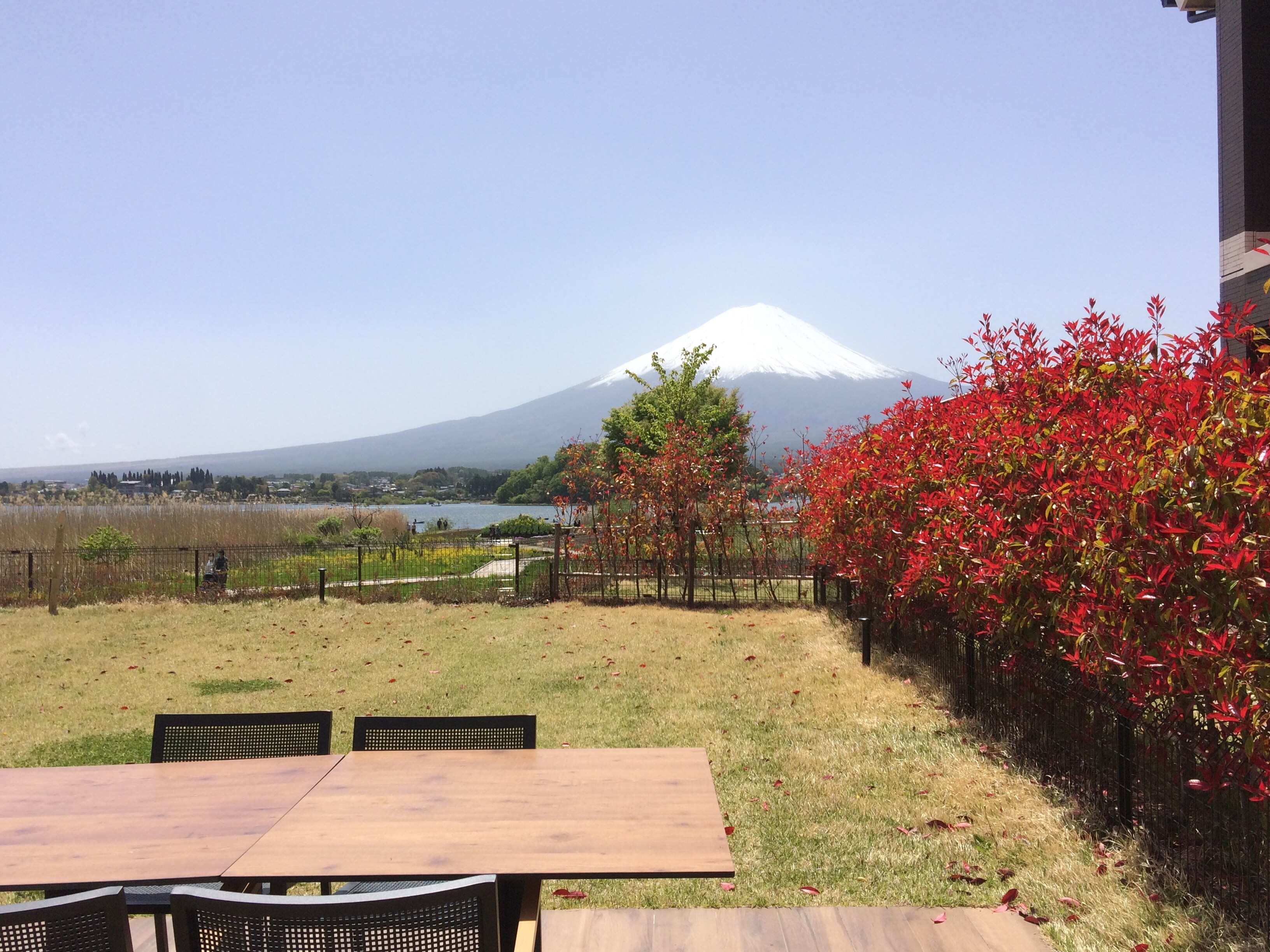 Mt. Fuji from Tsubaki Private Garden