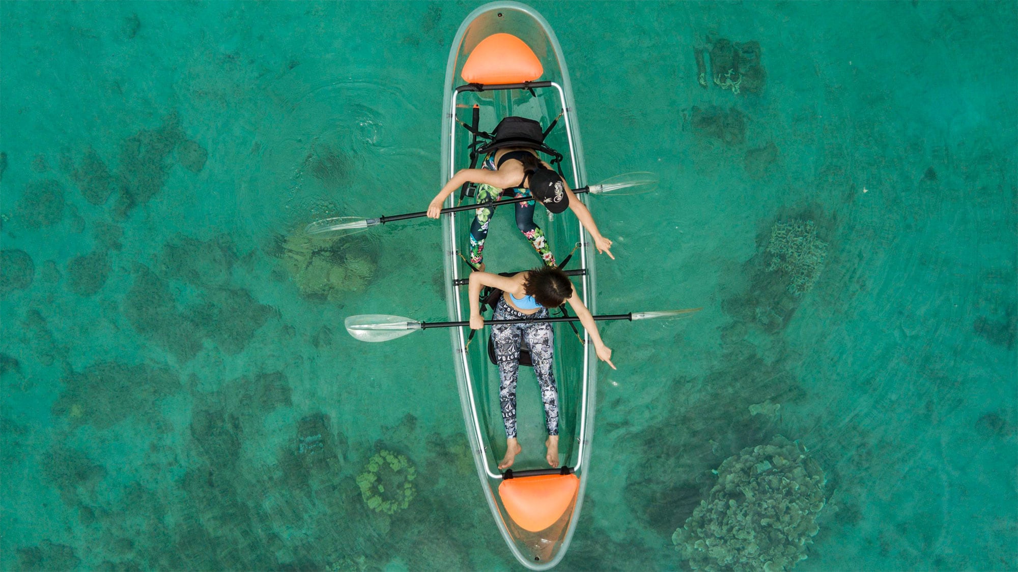 [Marine activities] Clear kayaks are available to rent on the beach, just 30 seconds walk from the facility!