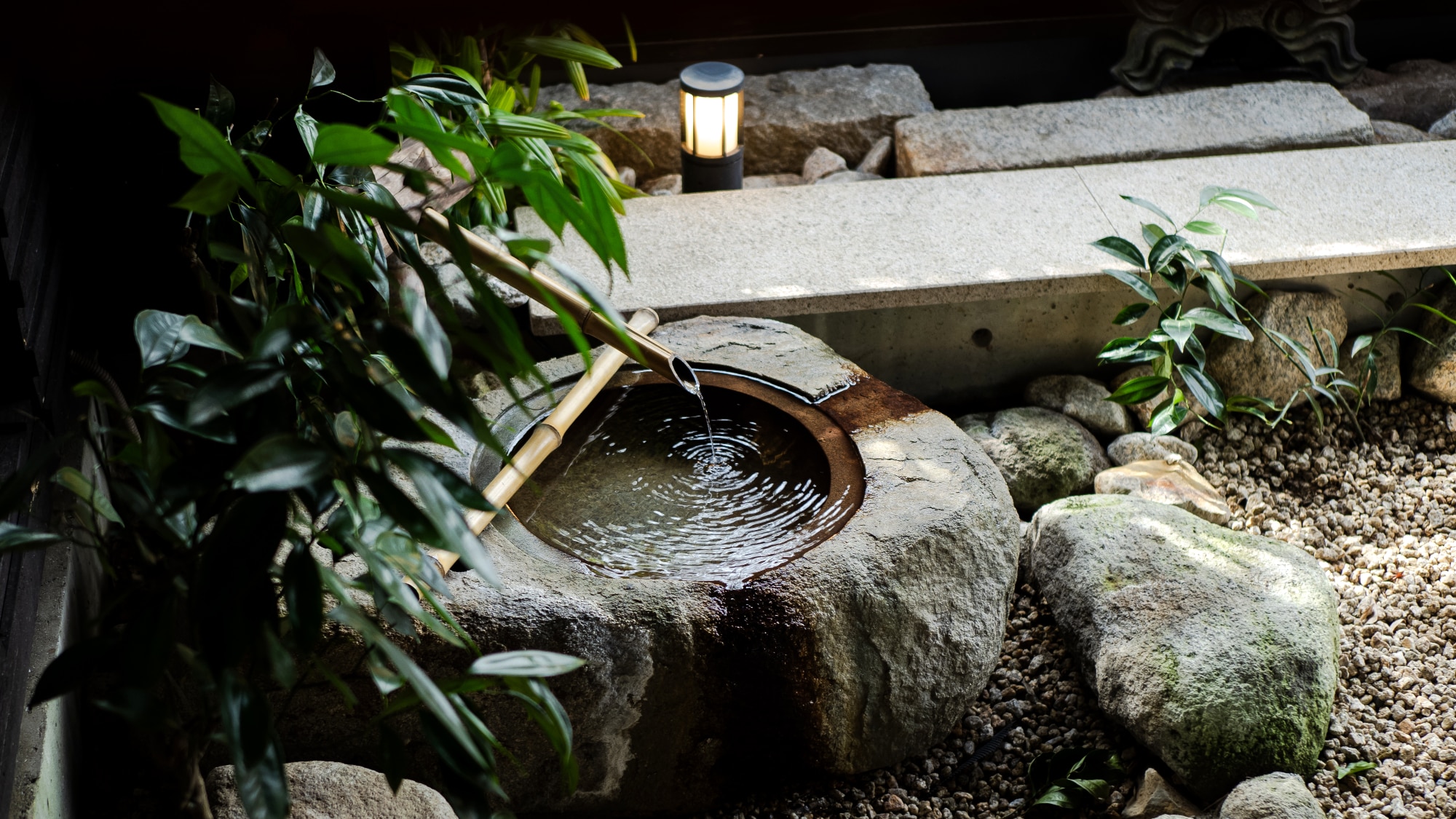 「O」房｜小花園