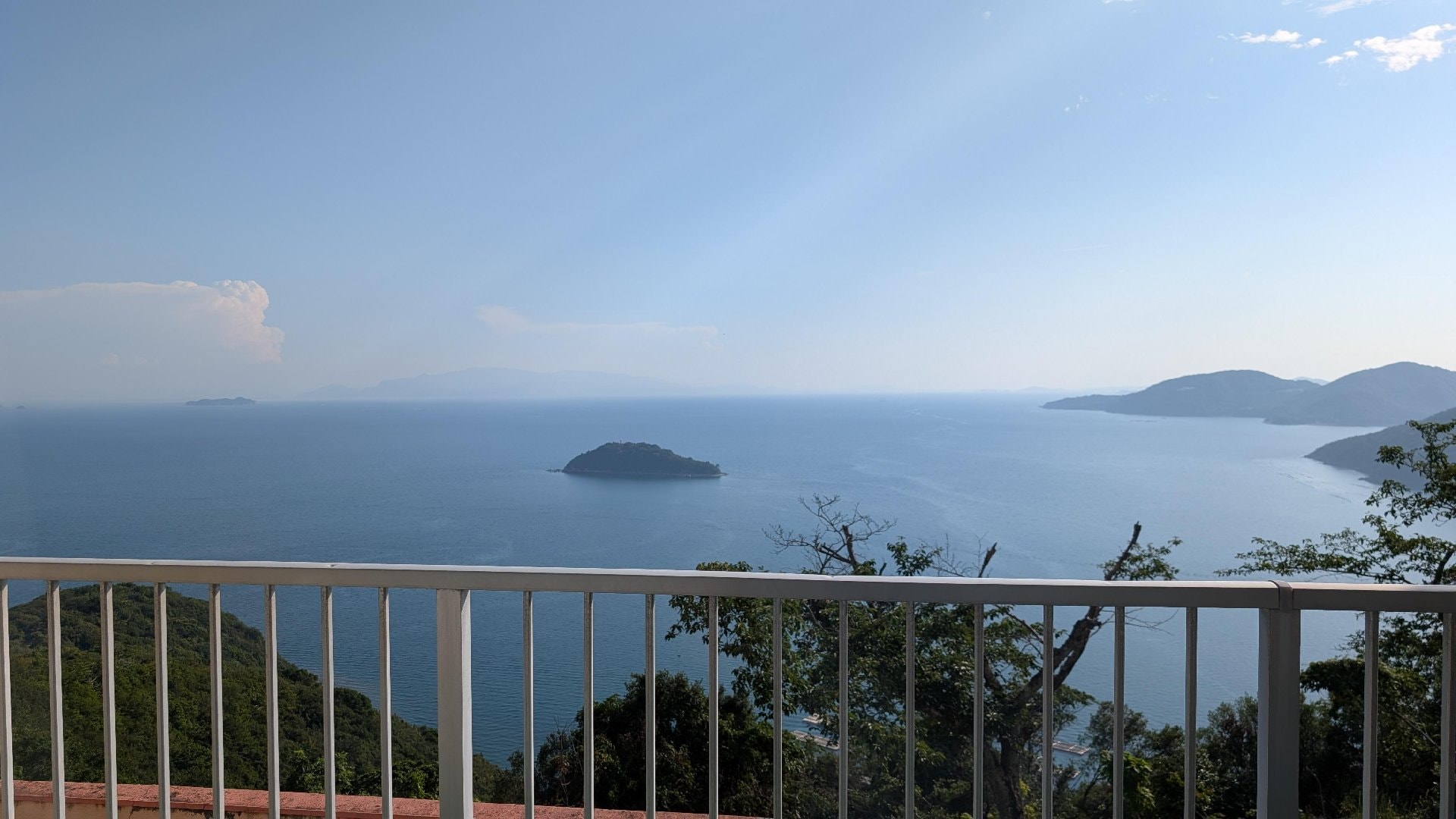 1000005589.jpg