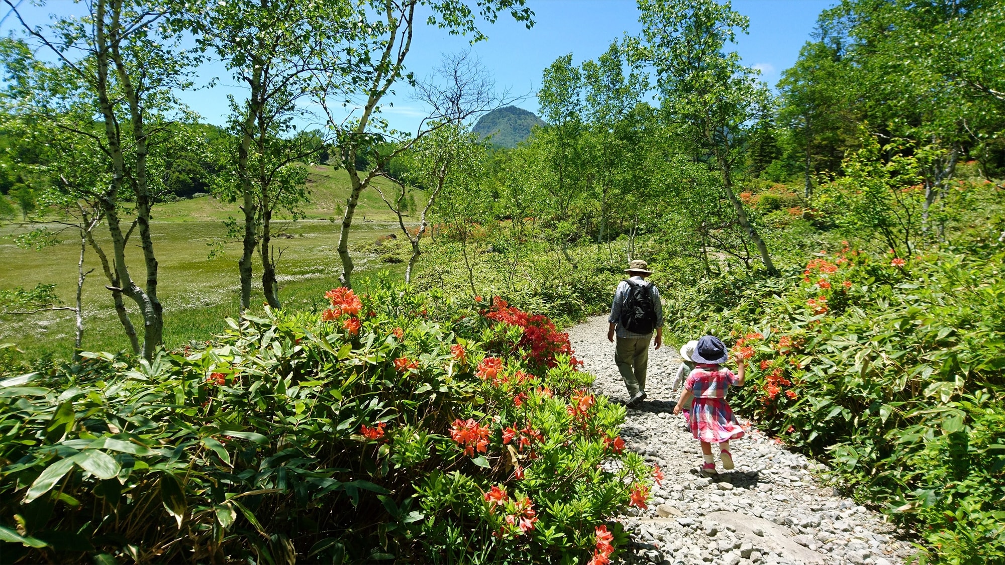 Summer in Shiga Kogen