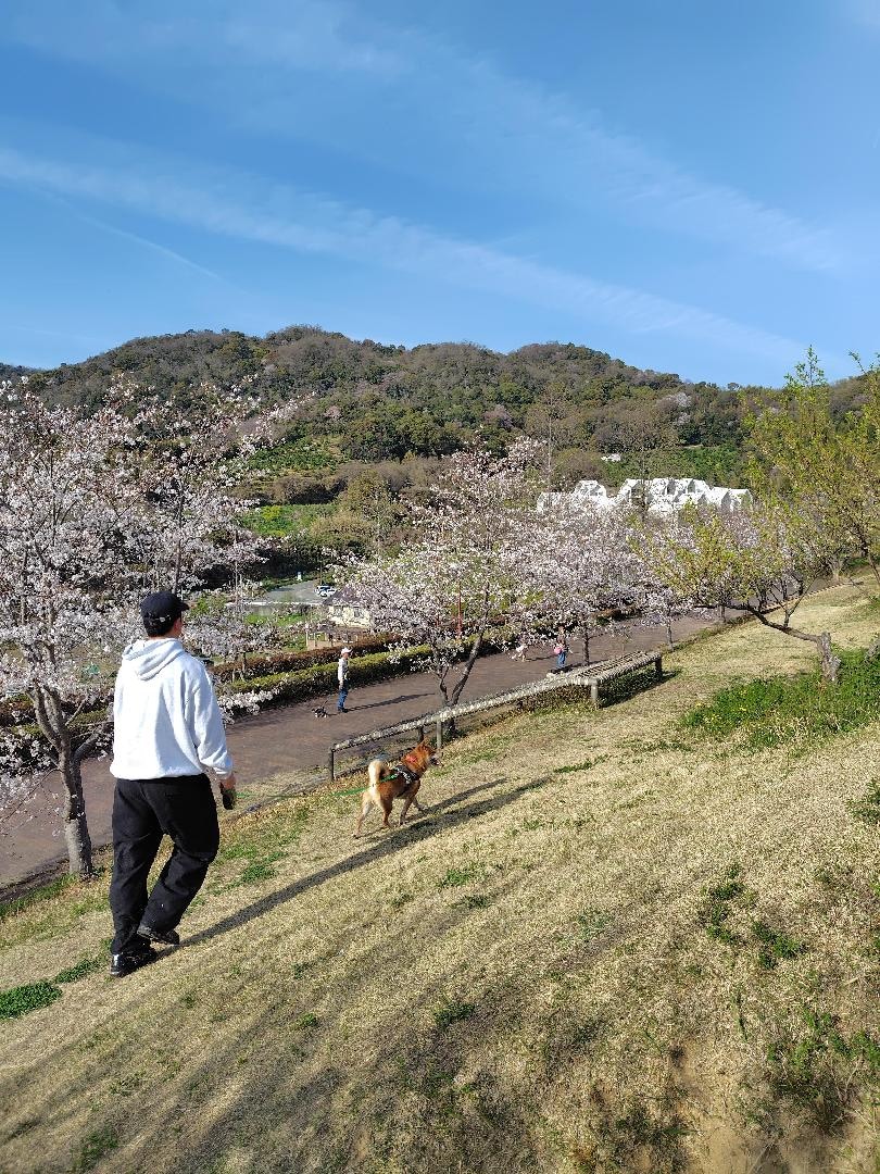 1000013454.jpg