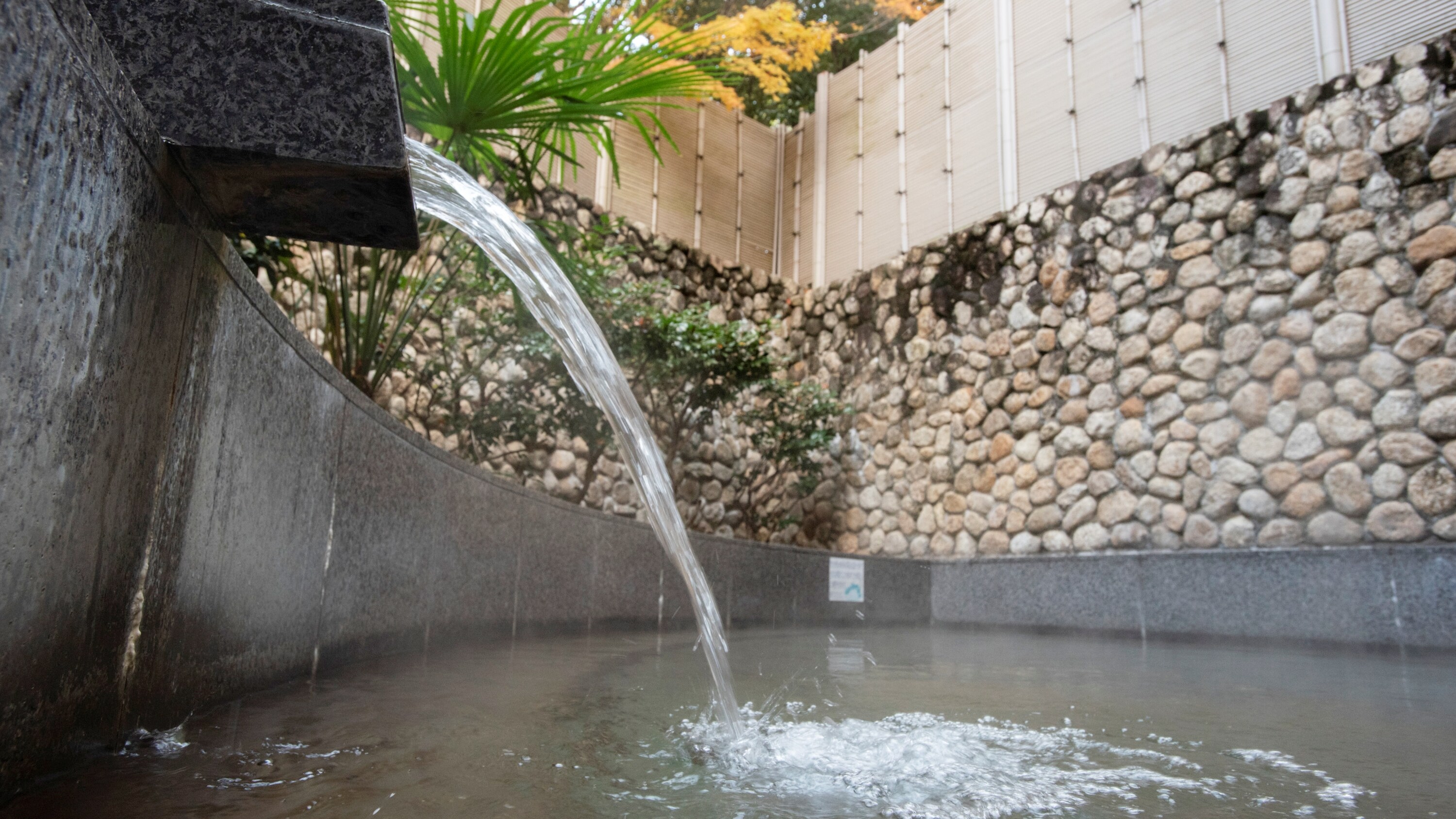 An open-air bath surrounded by greenery