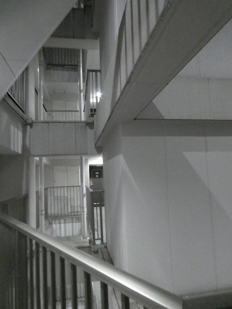 P1066565.JPG