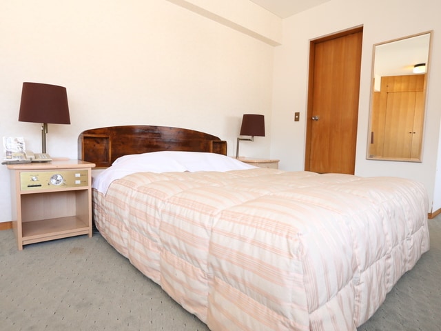 Double room example