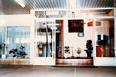 Appearance image