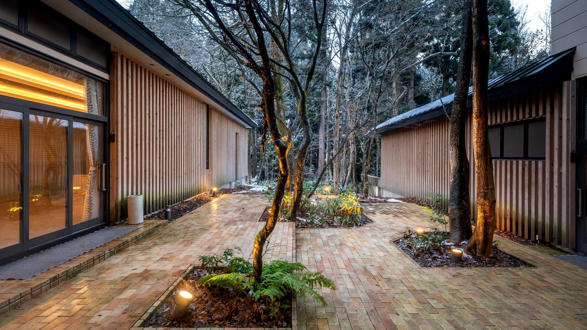 ■Courtyard | A special space surrounded by trees