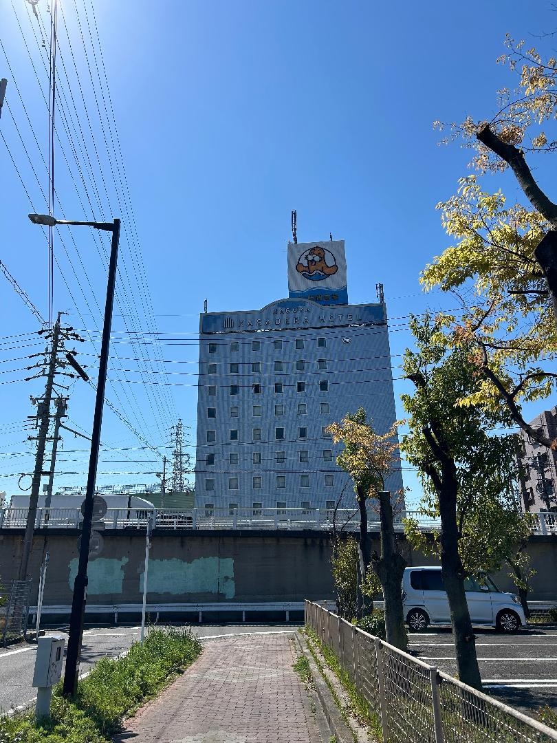 IMG_0894.jpeg