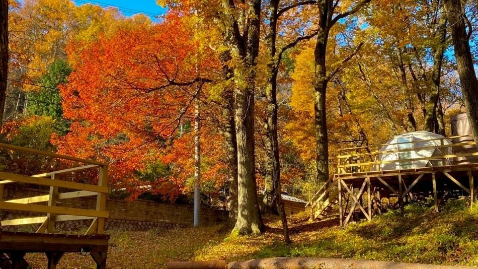 How to enjoy enCamp [Autumn 3]
