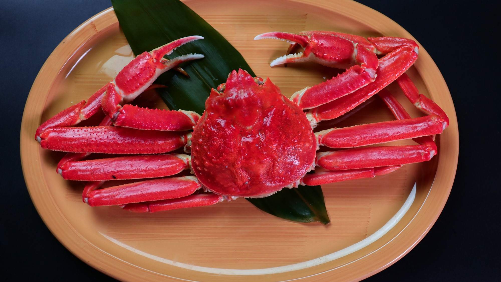 [ปูต้ม 1 ถ้วย]