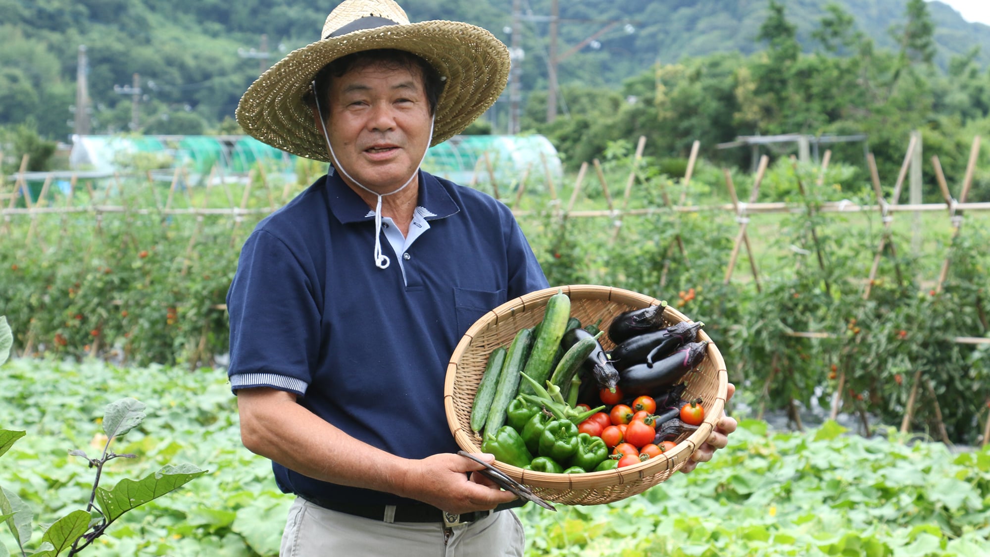 Home-grown! Fresh vegetables