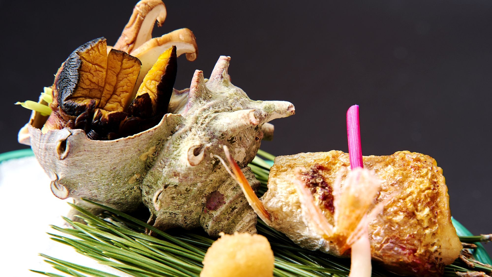 ◆[Tenkomori Kaiseki dành cho người sành ăn]