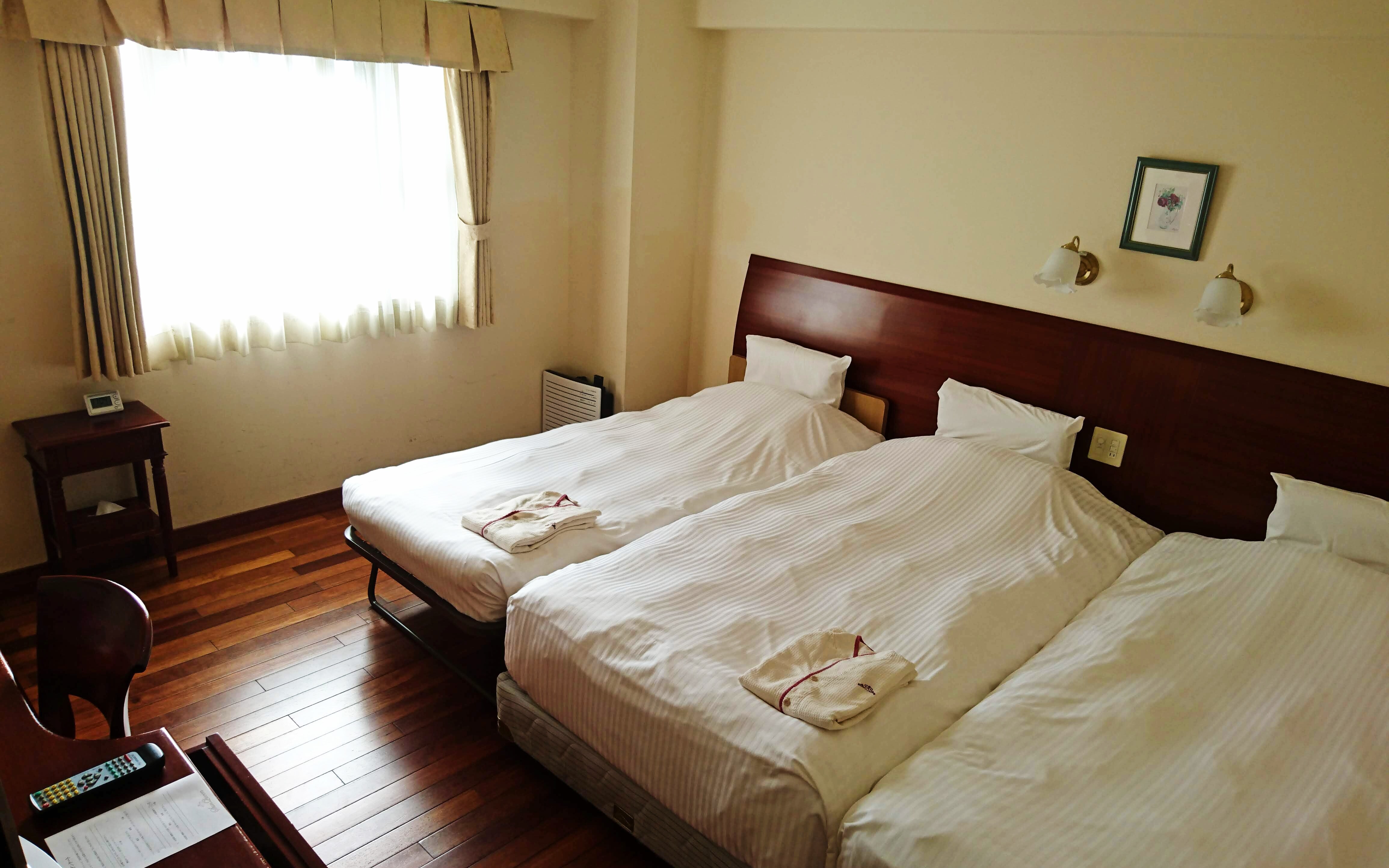 Triple room (2 beds 110cm & times; 200cm + 1 extra bed 100cm & times; 195cm)