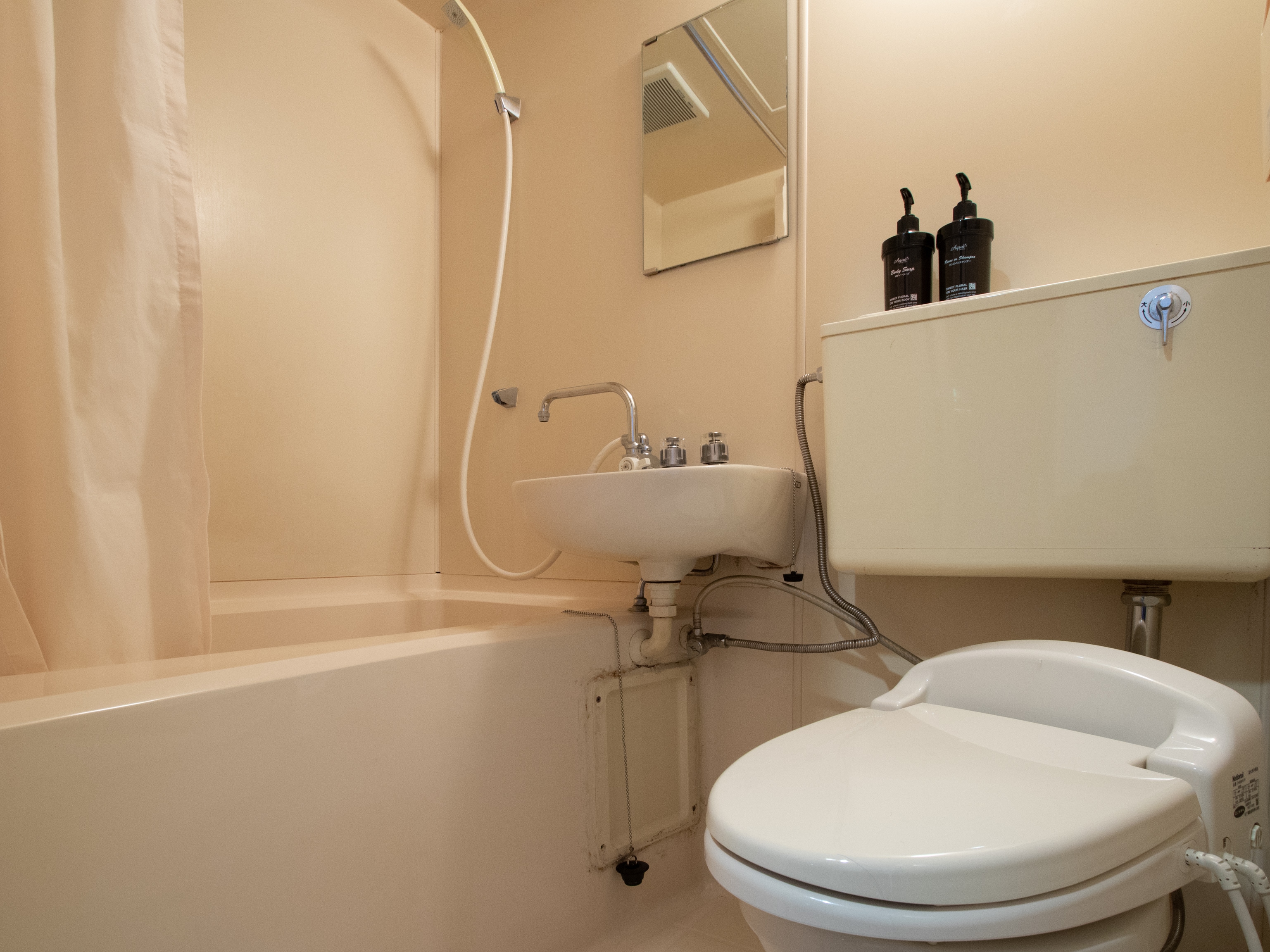 Japanese-style double room with bath and toilet