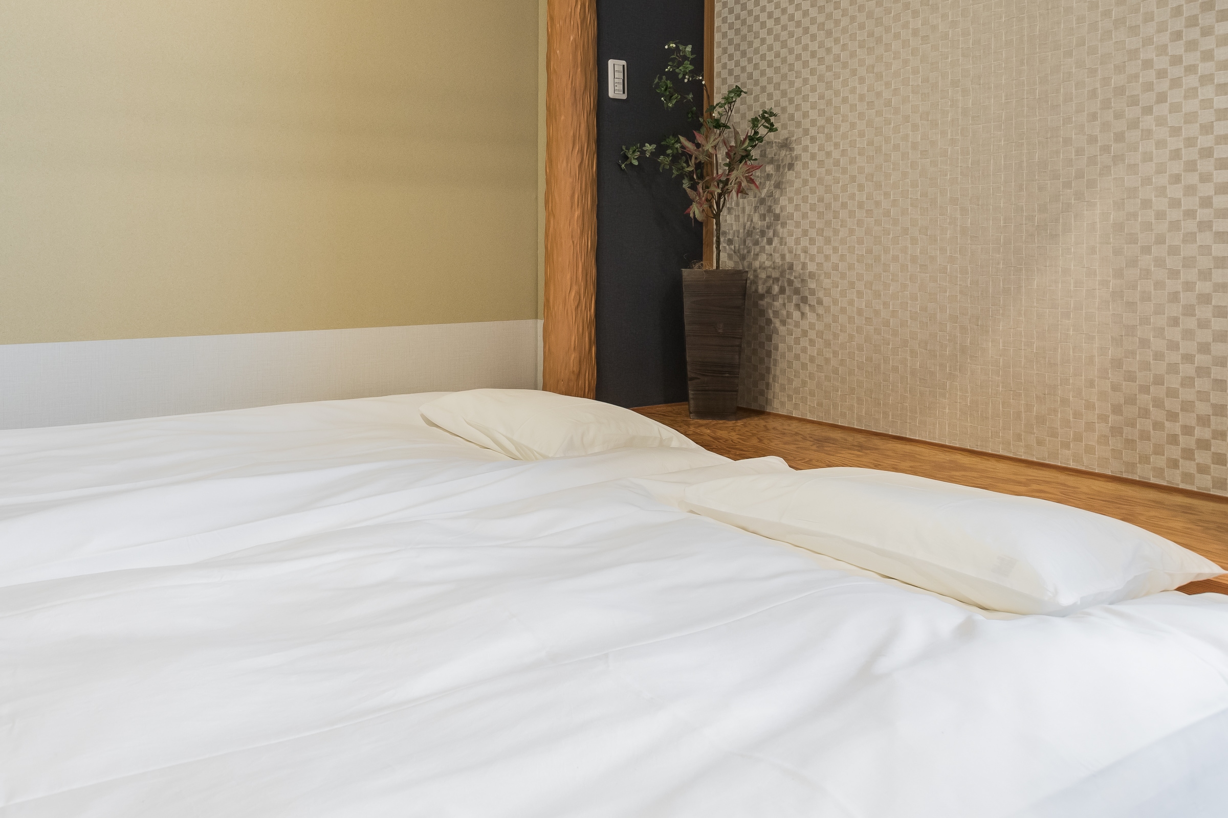 Japanese style premium room