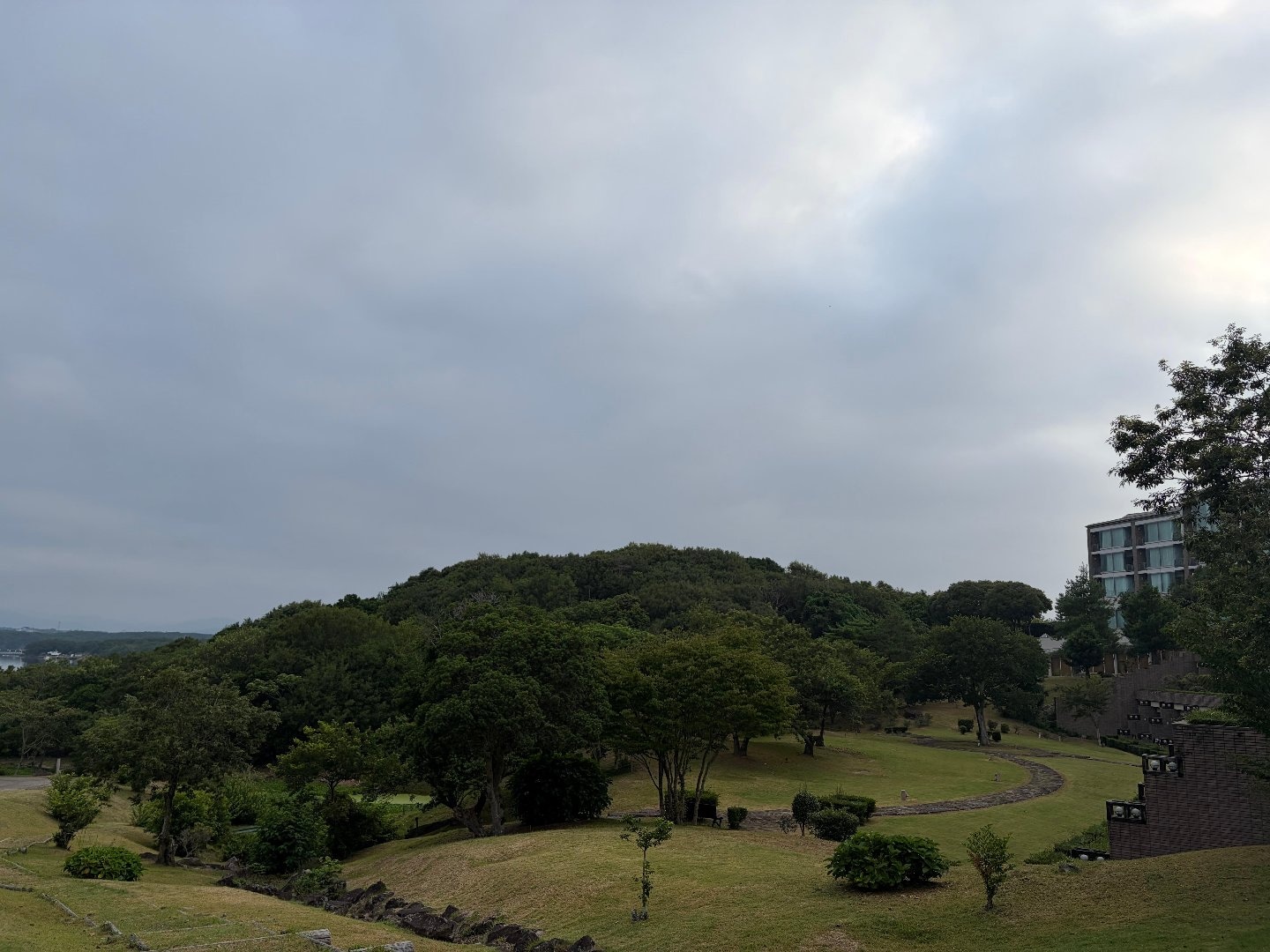 IMG_4863.jpeg