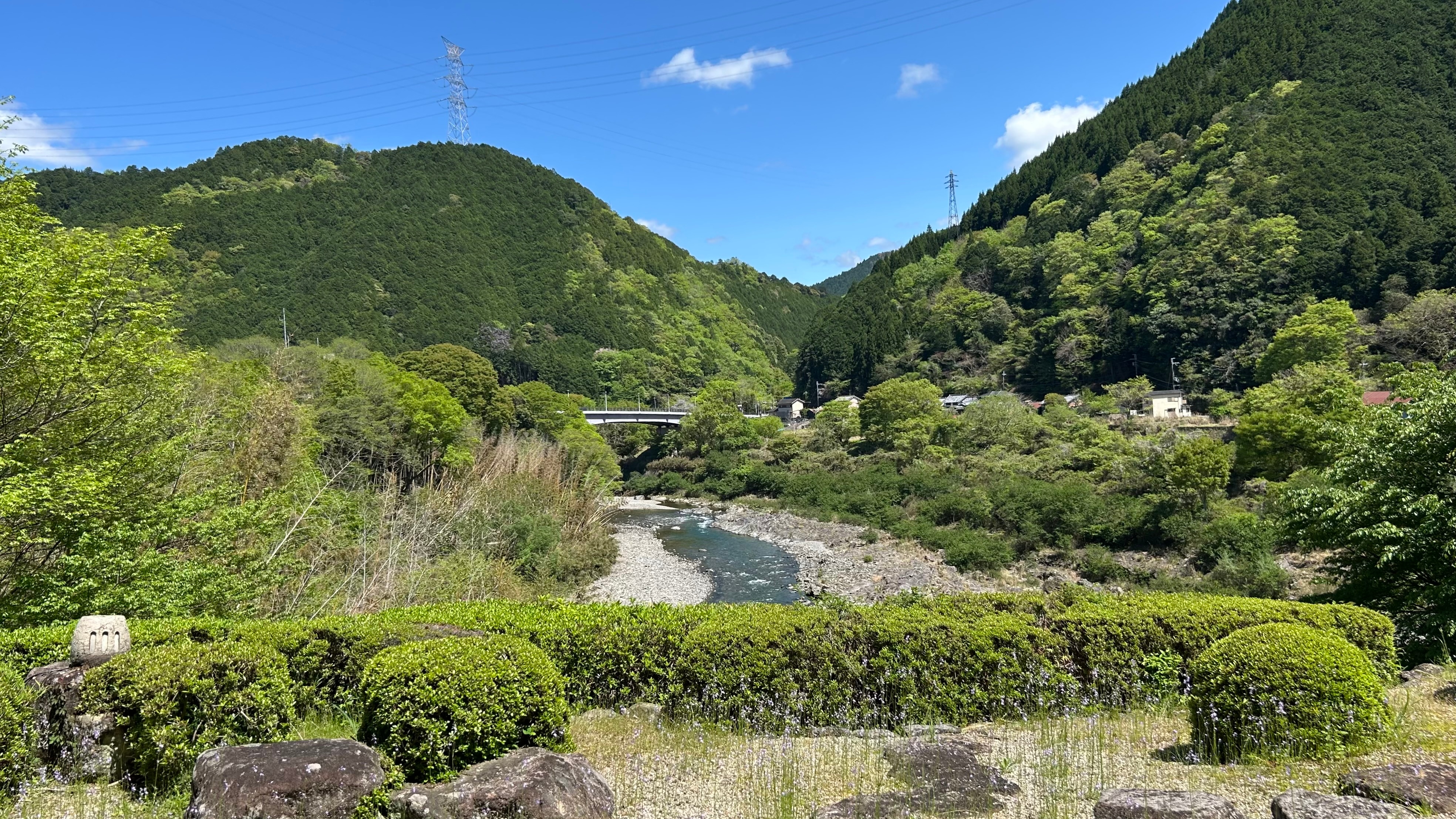 从餐厅看到的风景