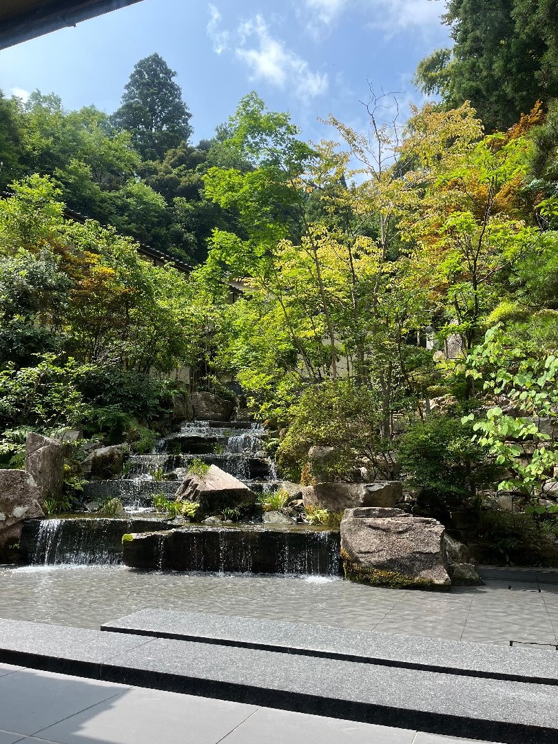 IMG_0606.jpeg