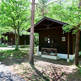 *[Cabin exterior] 24 log cabin-style cabins are scattered amongst the beautiful green forest.