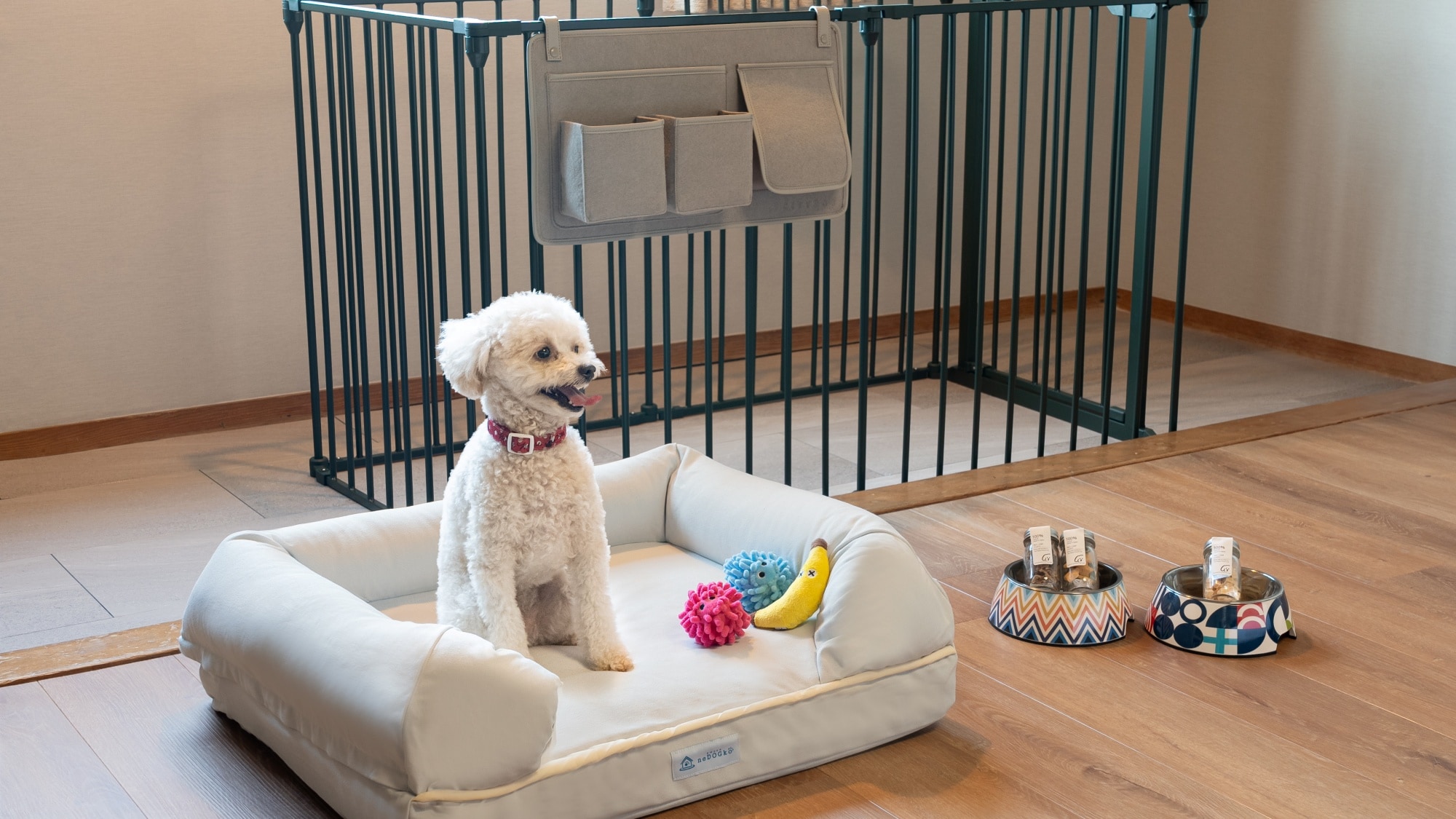 Dog-Friendly Twin Room *Photo is for illustrative purposes only. *One dog treat and one toy per room.