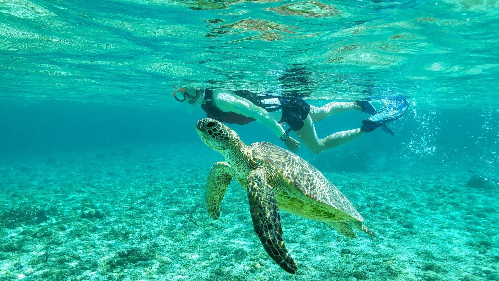 [A moving snorkeling experience] When you look out into the sea, it looks just like Ryugu-jo Castle.