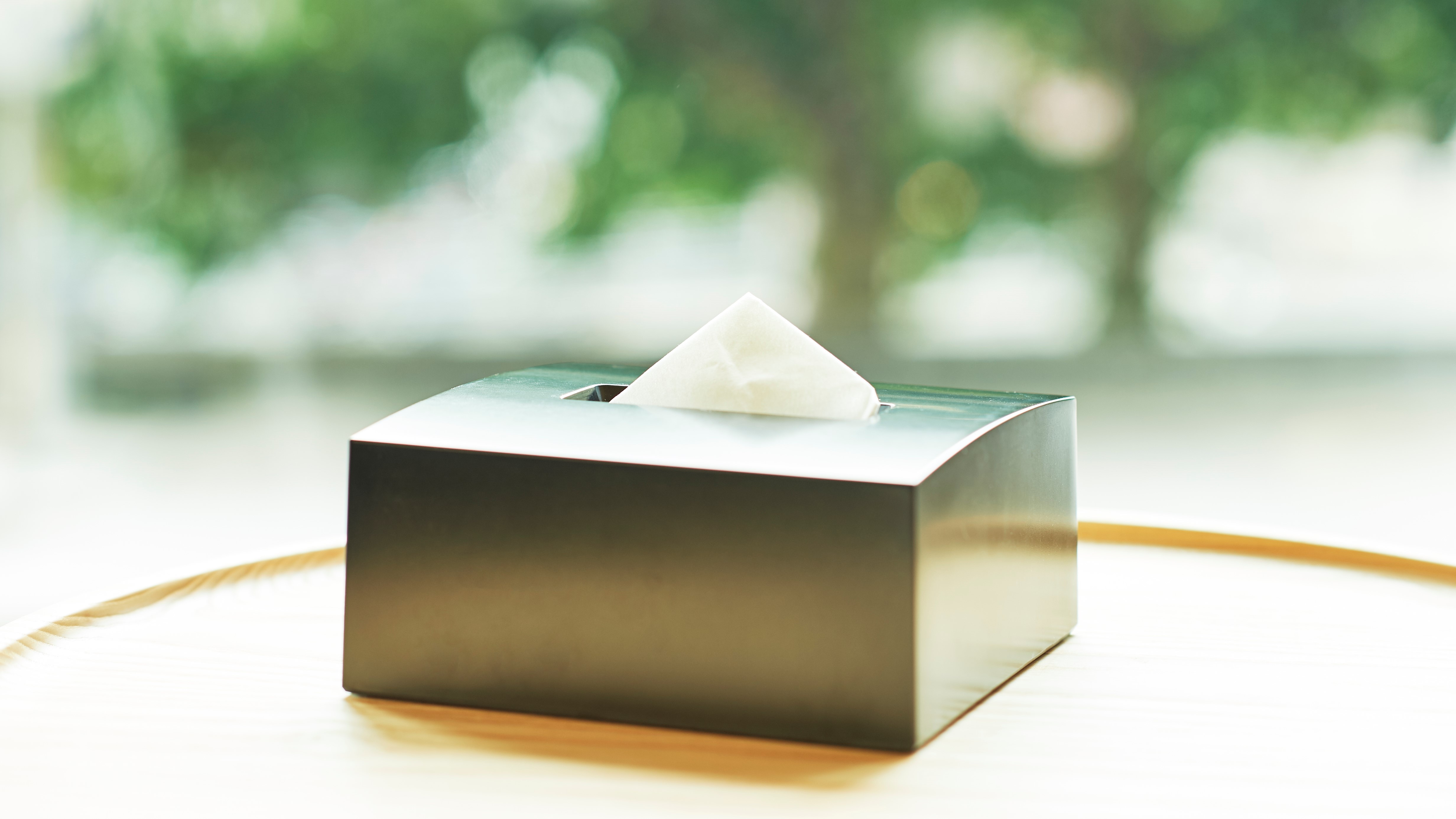 [Guest room/Equipment] Box tissue
